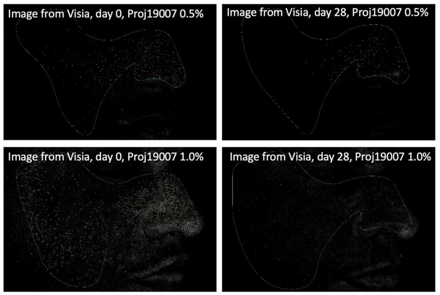 Molecules 26 06704 g004 550