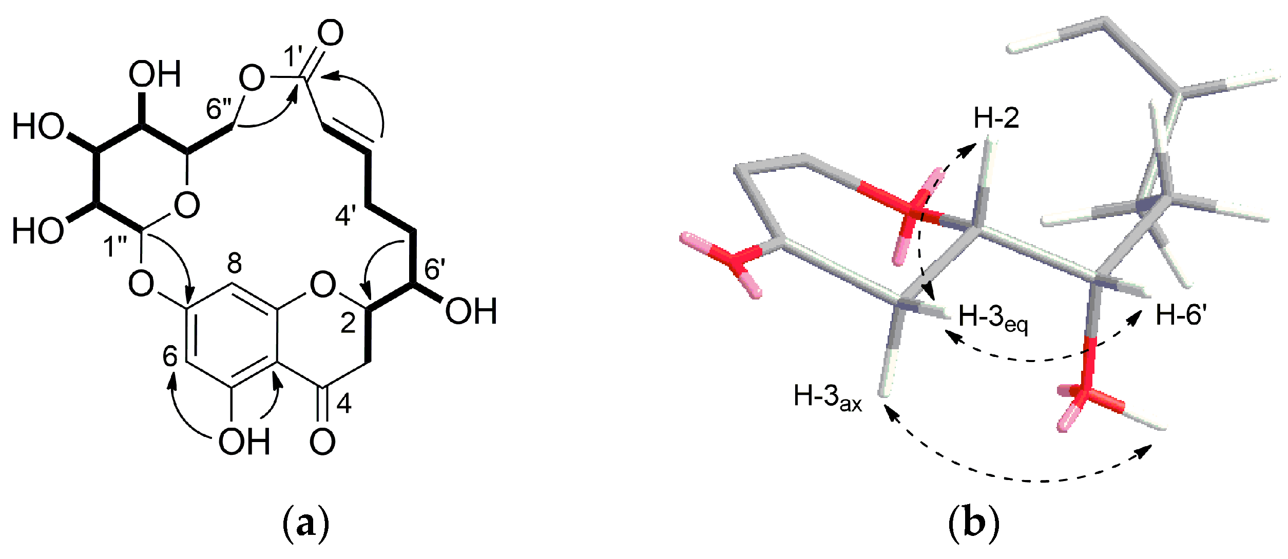 Molecules 26 06705 g002 550