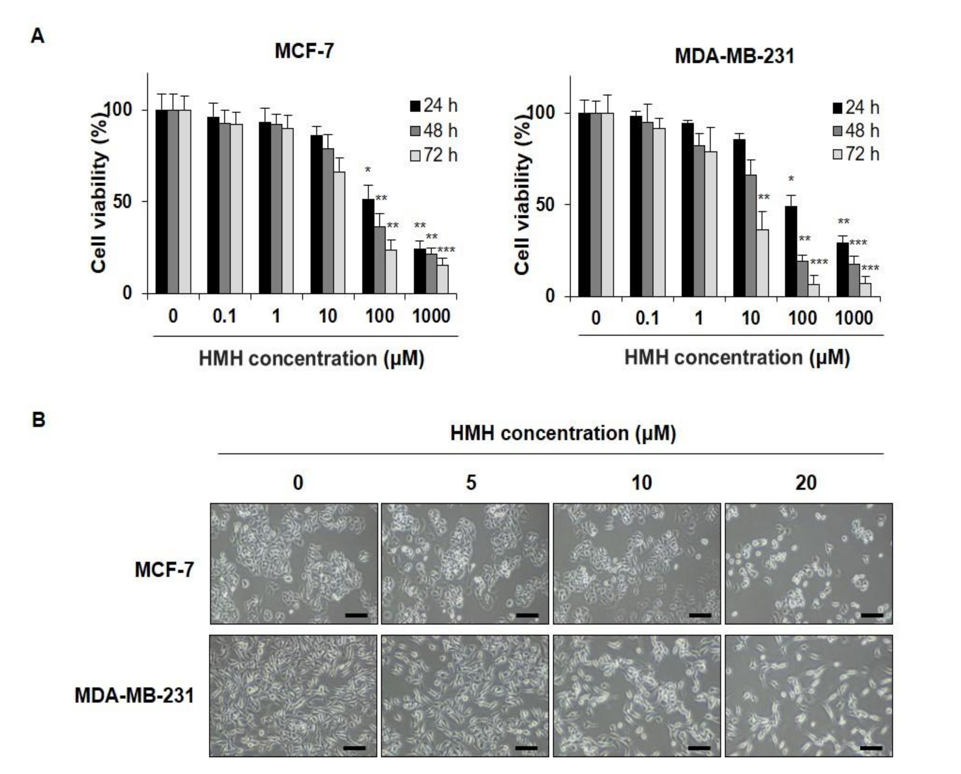 Molecules 26 06714 g002