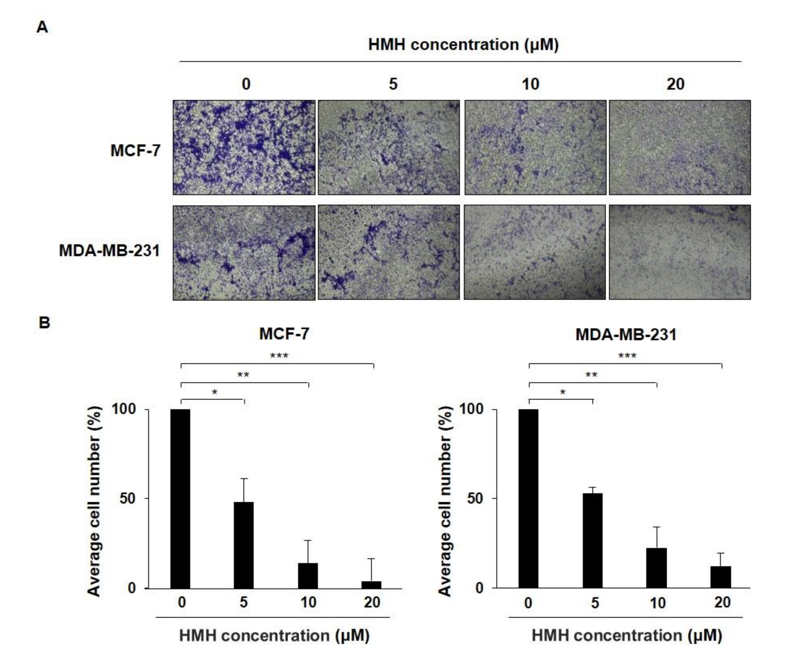 Molecules 26 06714 g004