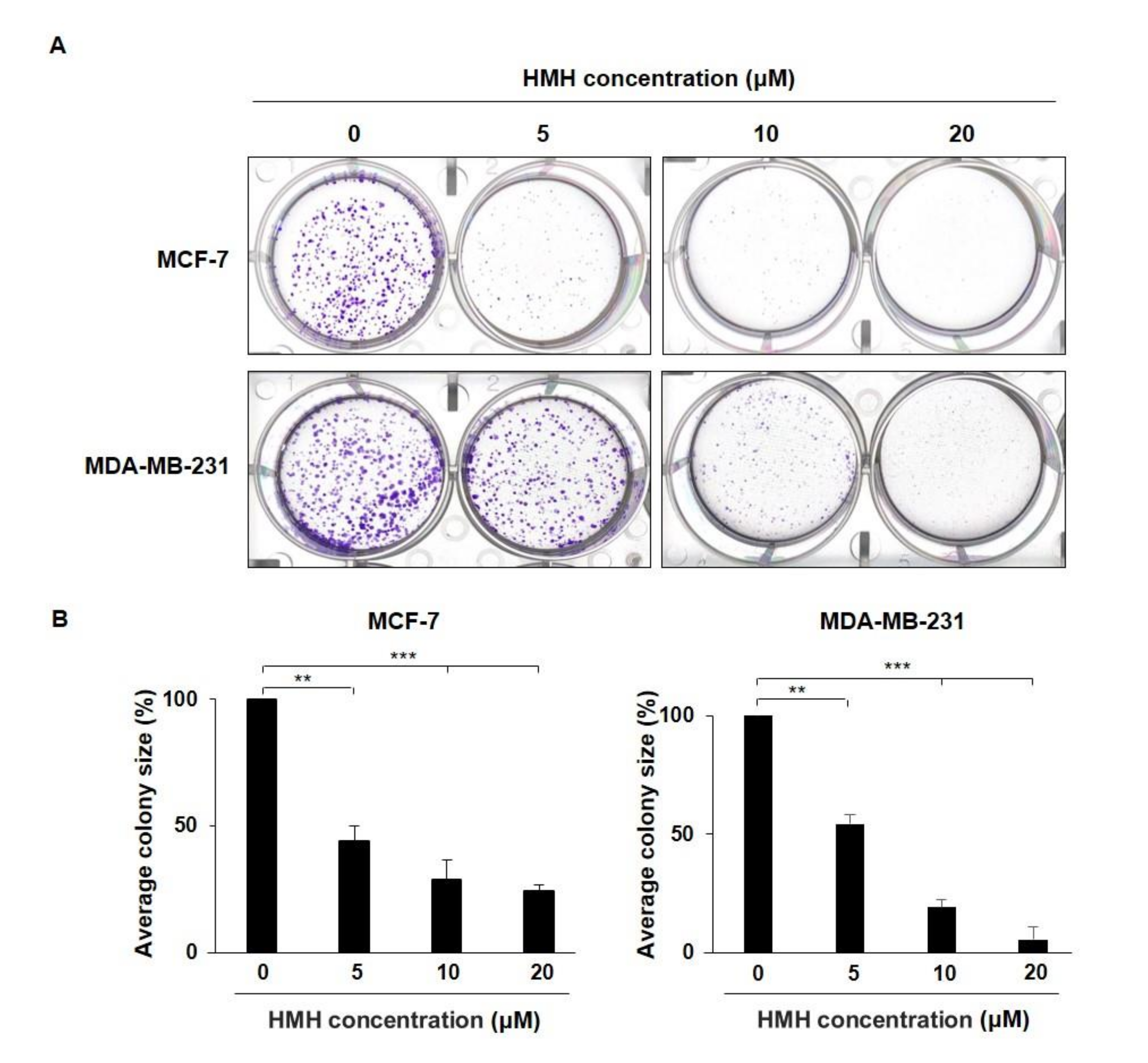 Molecules 26 06714 g005