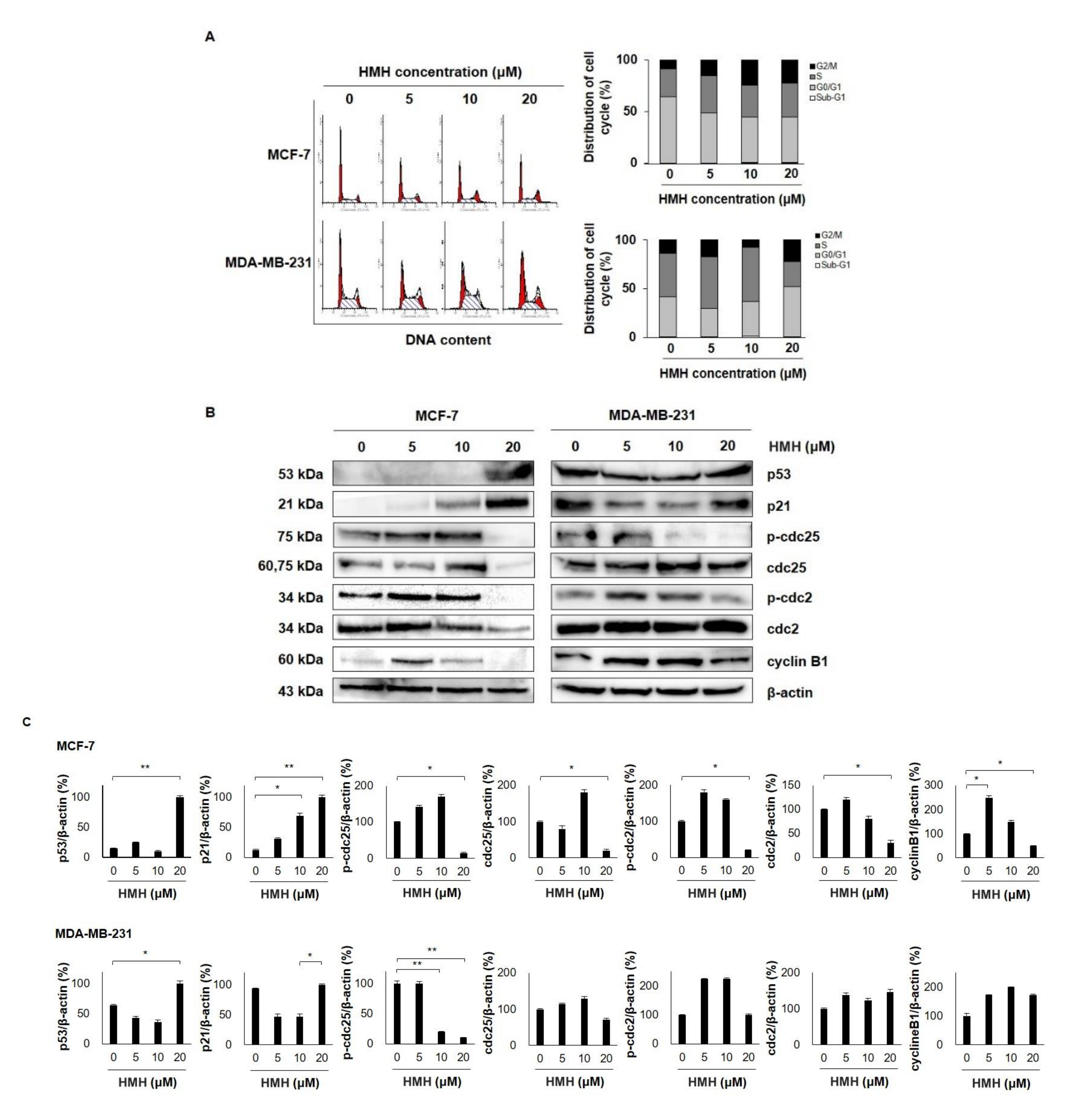 Molecules 26 06714 g006