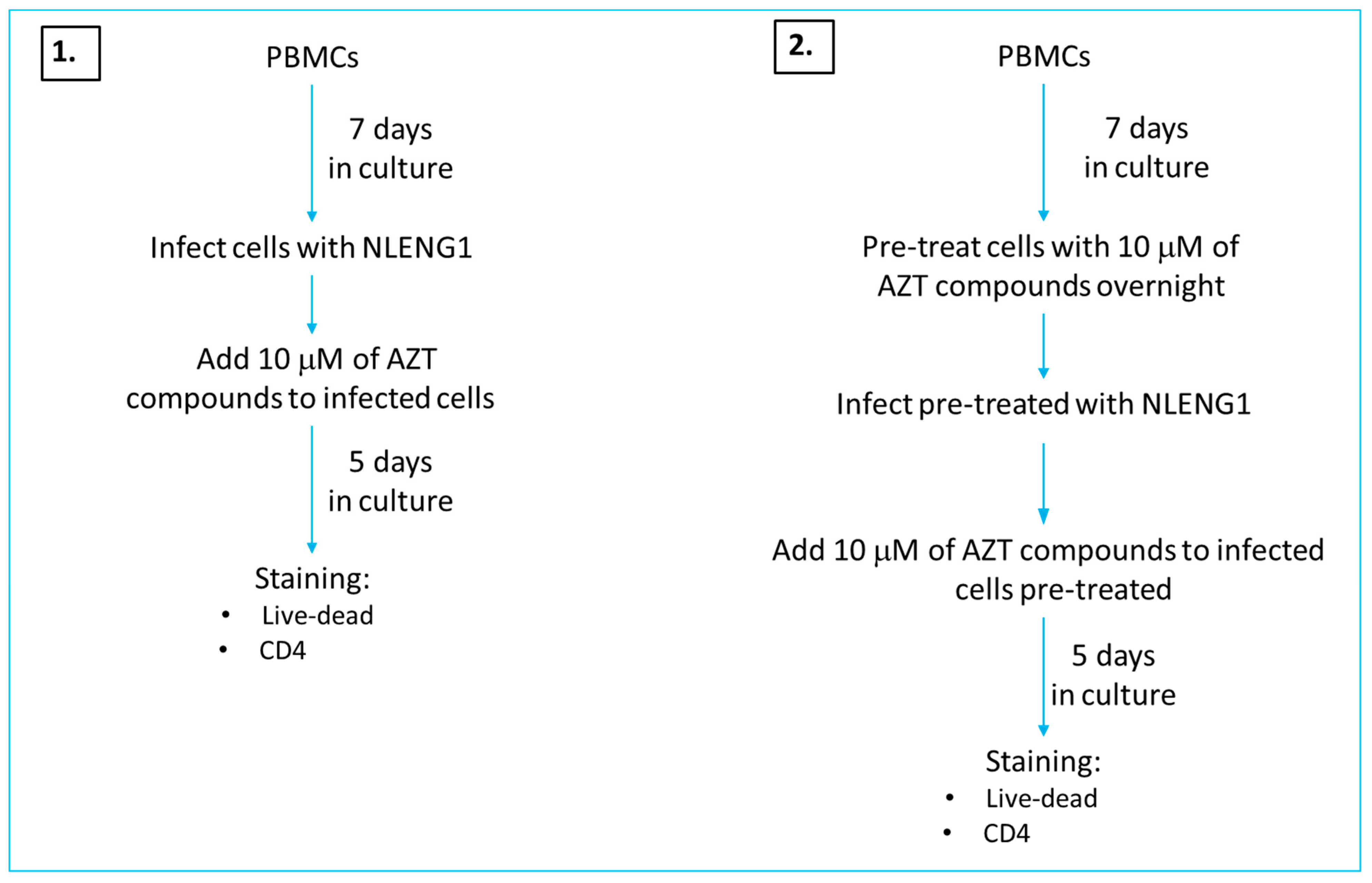 Molecules 26 06720 sch002 550