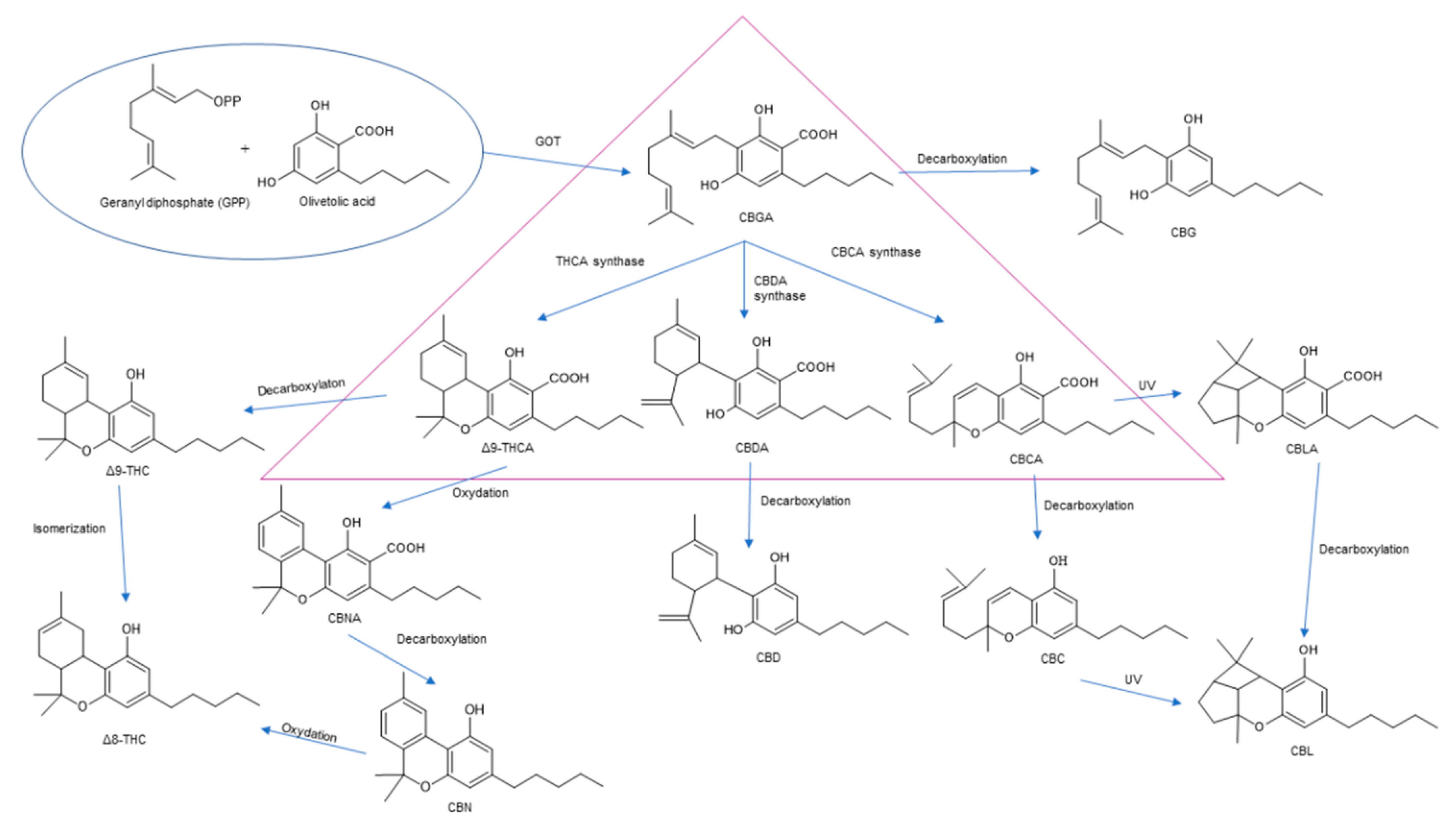 Molecules 26 06723 g002 Molecules 26 06723 g002