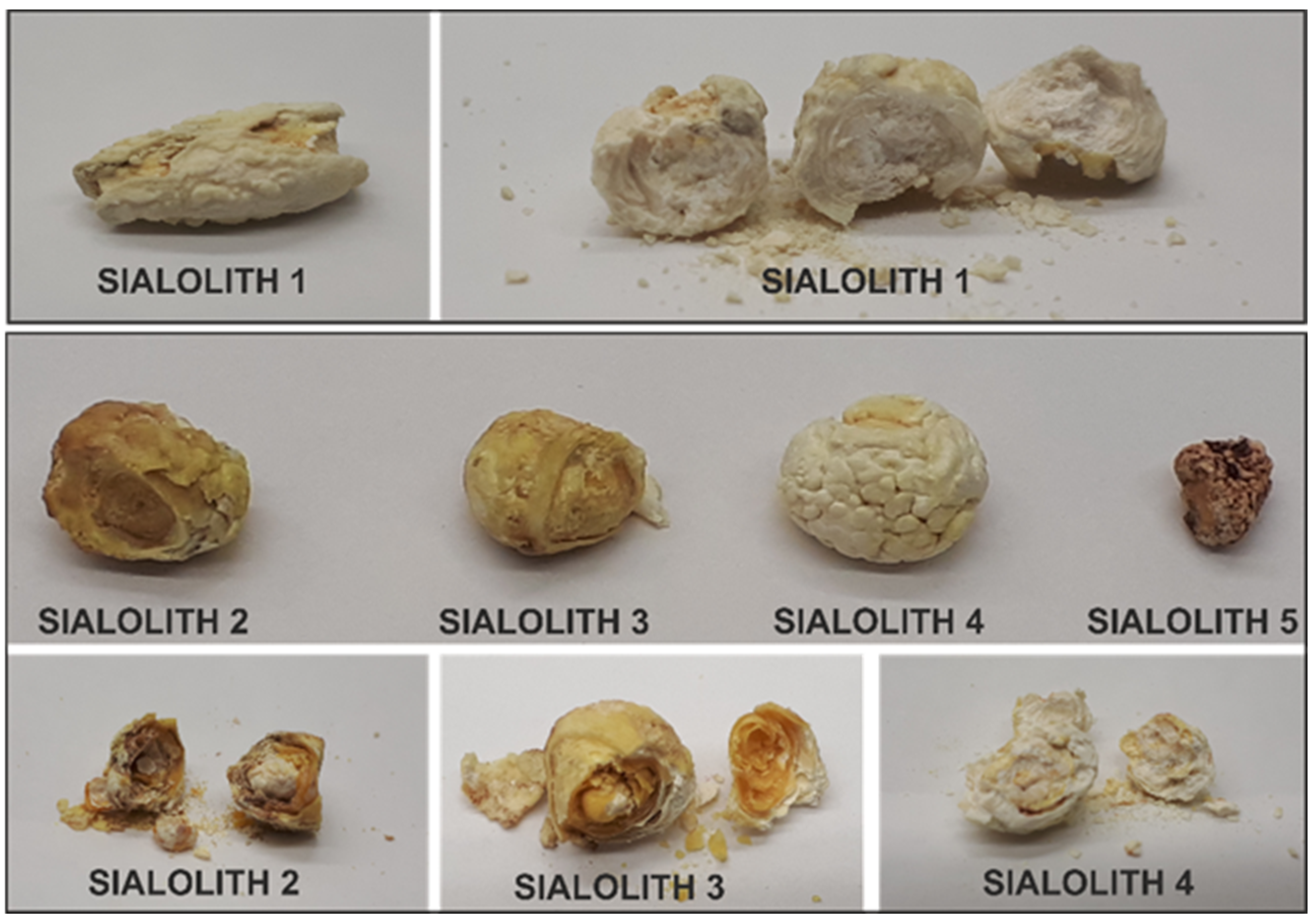 Molecules 26 06725 g001 Molecules 26 06725 g001