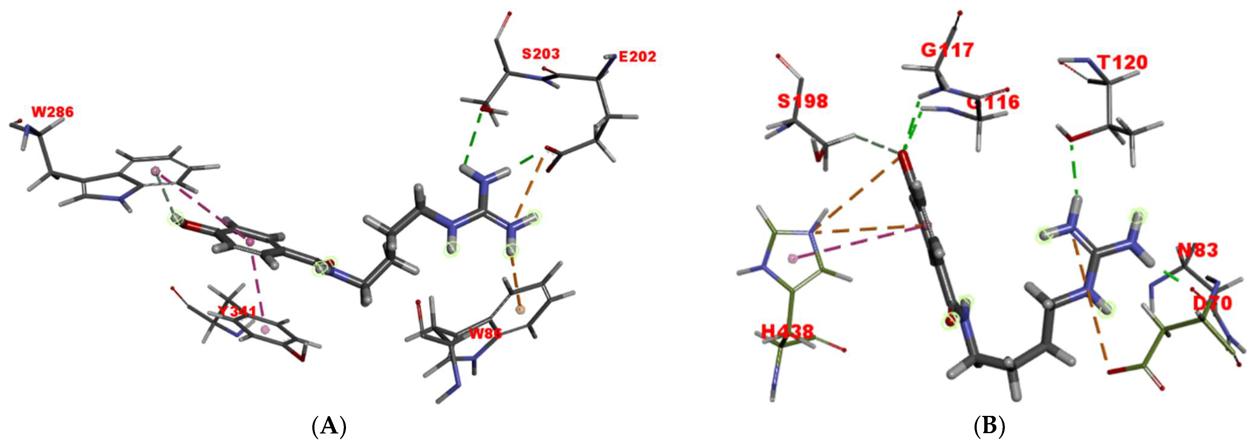 Molecules 26 06737 g007 550