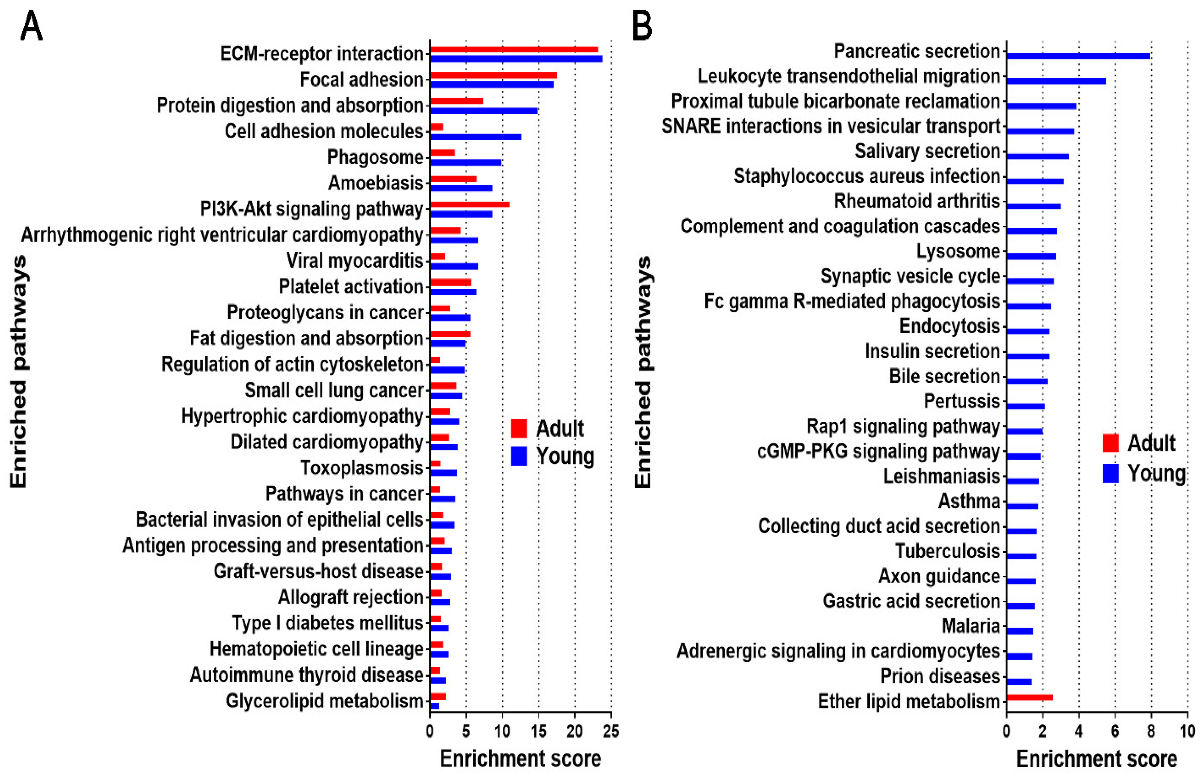 Molecules 26 06740 g005