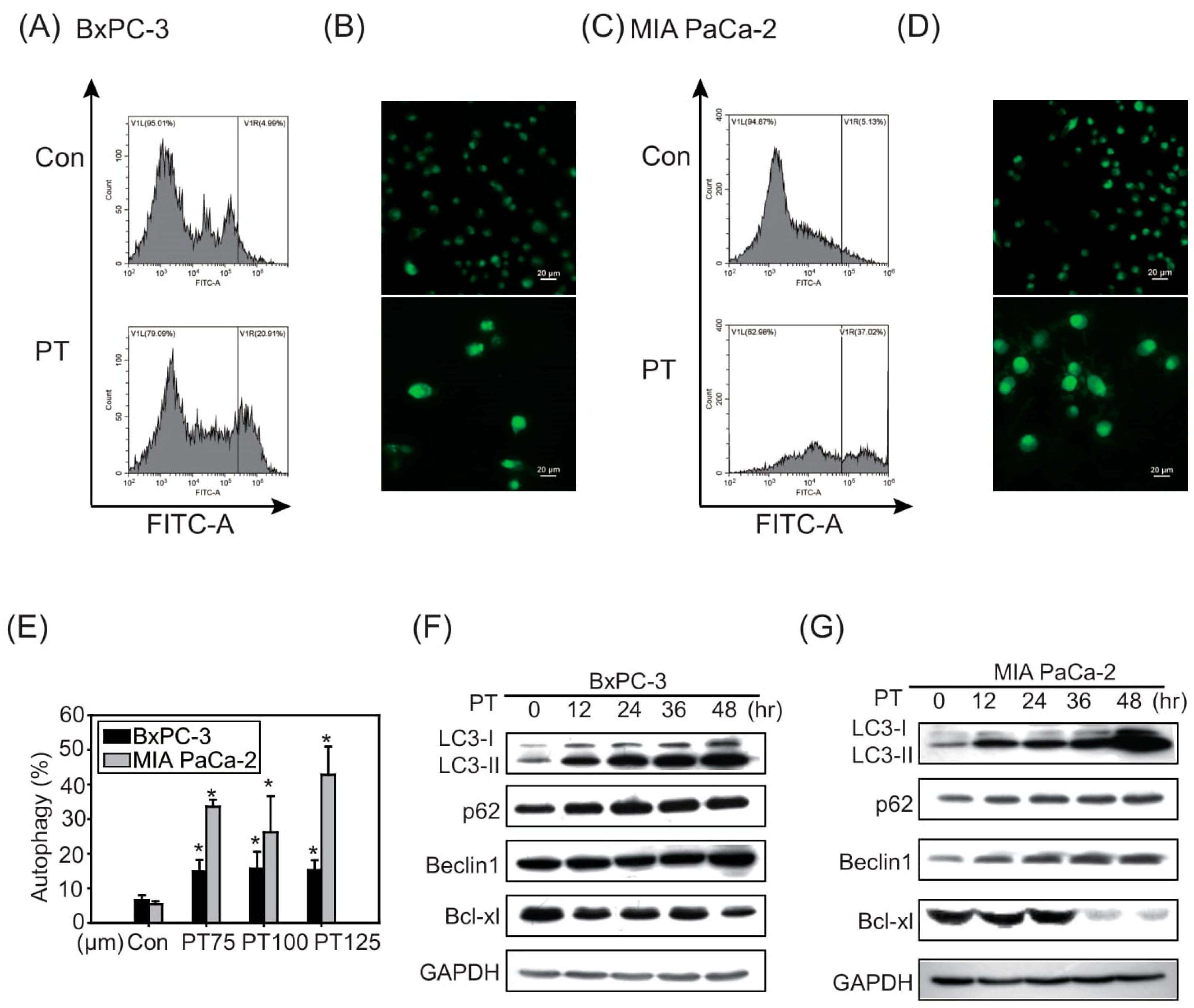Molecules 26 06741 g002 550