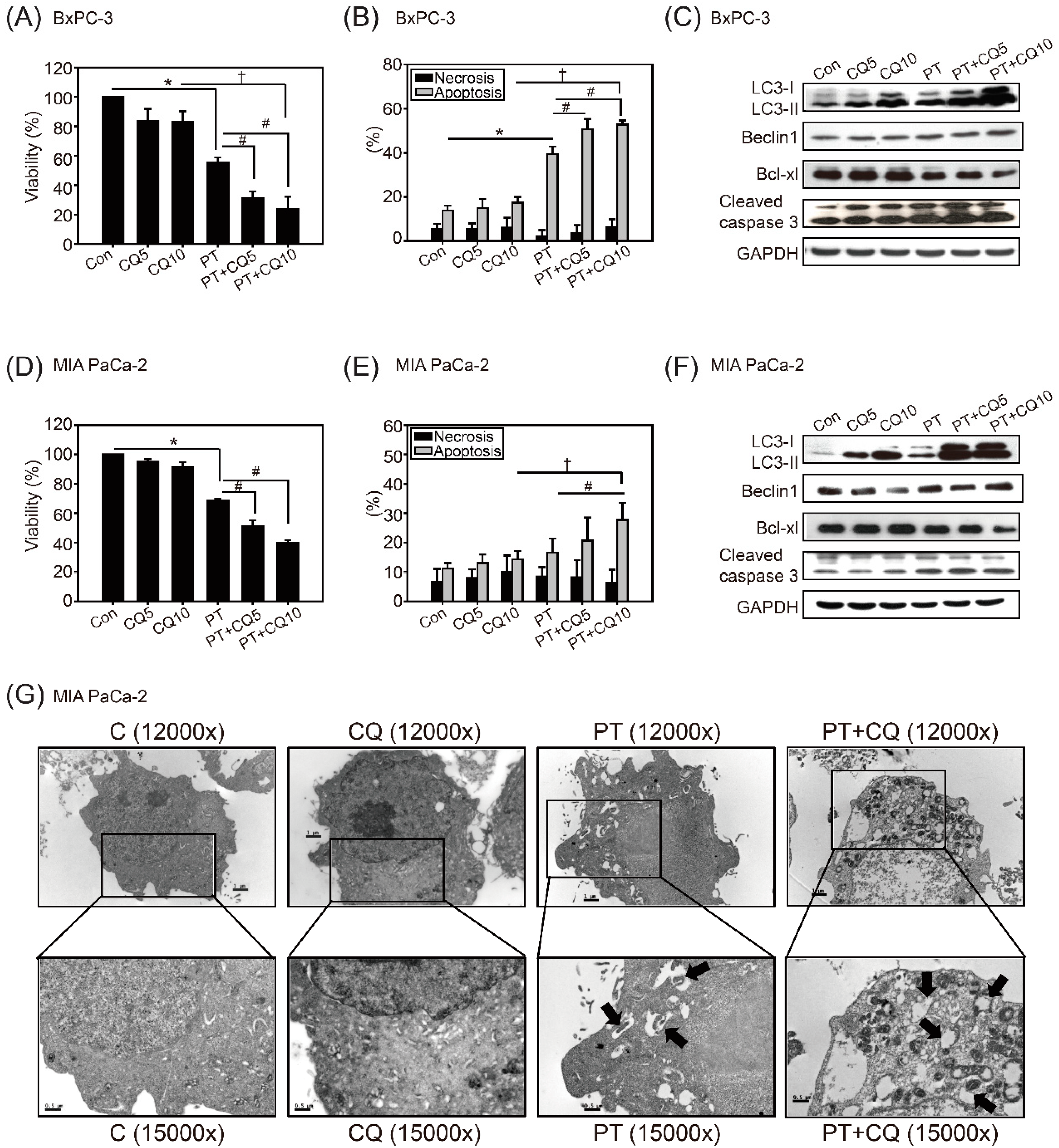 Molecules 26 06741 g003 550