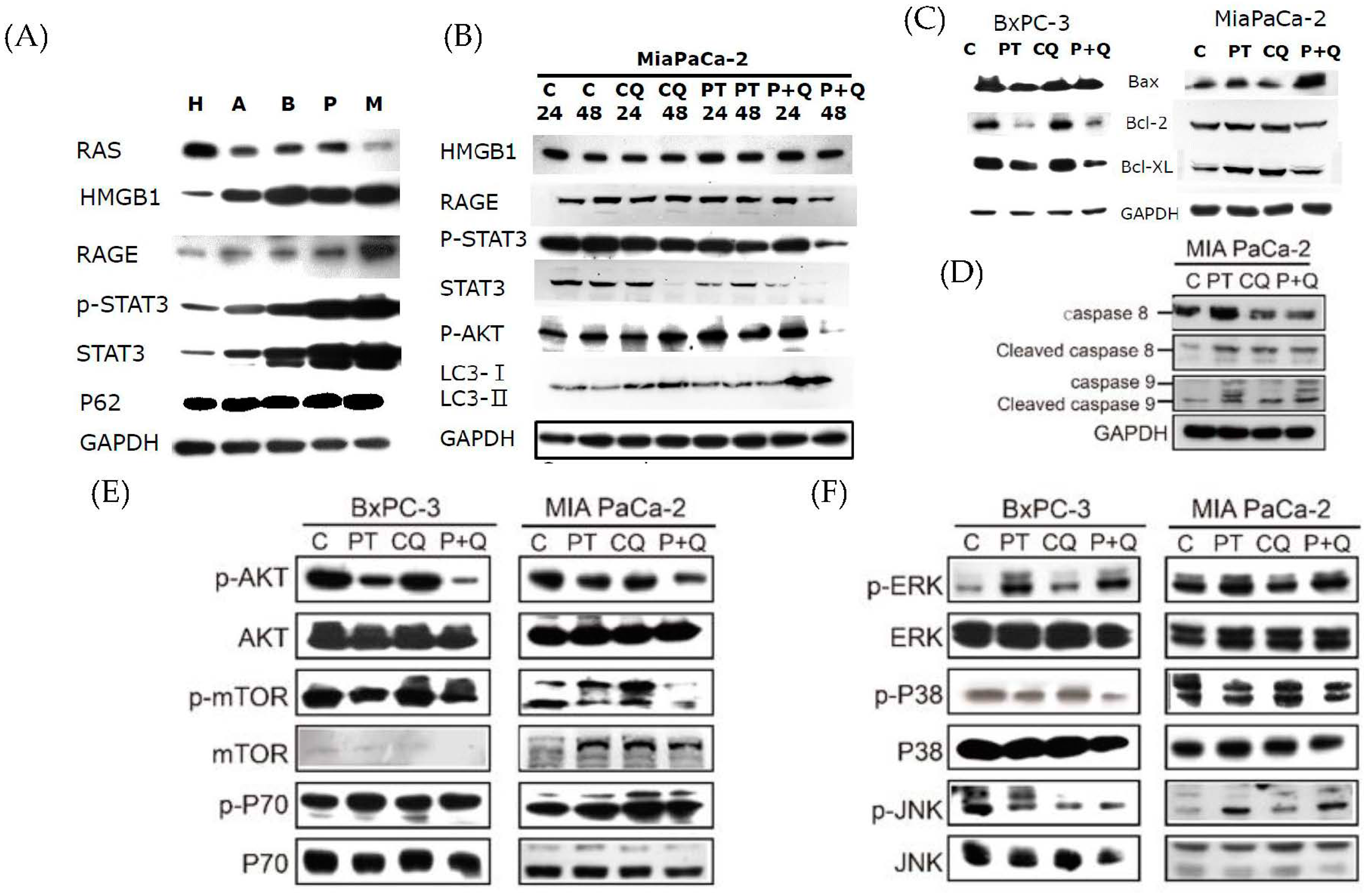 Molecules 26 06741 g004 550