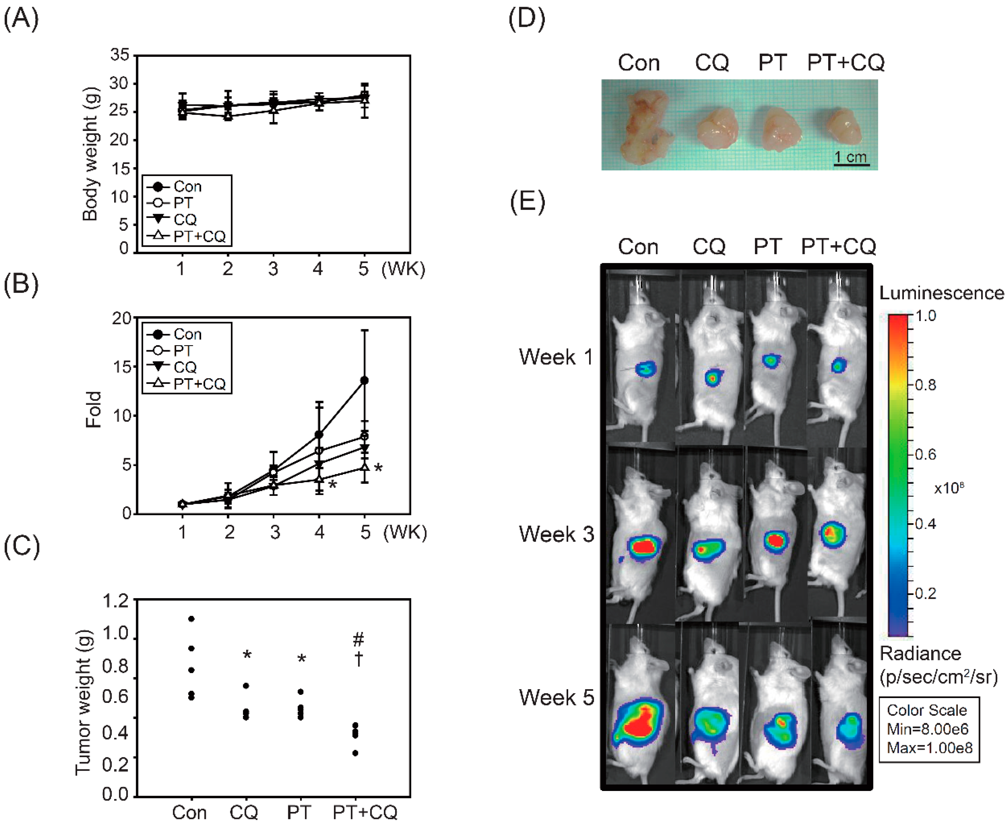 Molecules 26 06741 g005 550