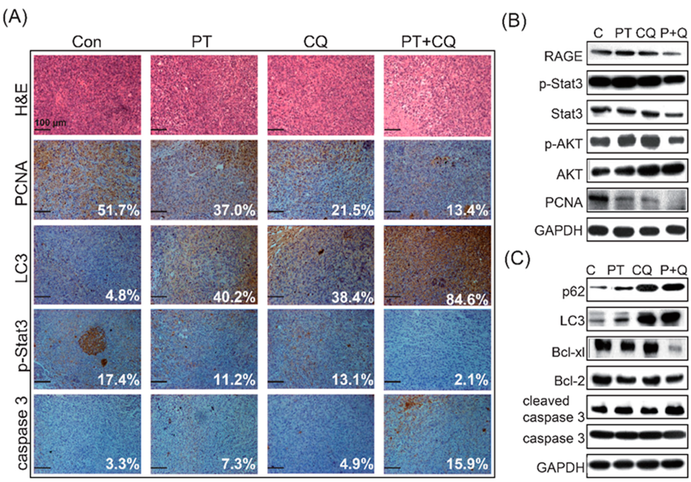 Molecules 26 06741 g006 550
