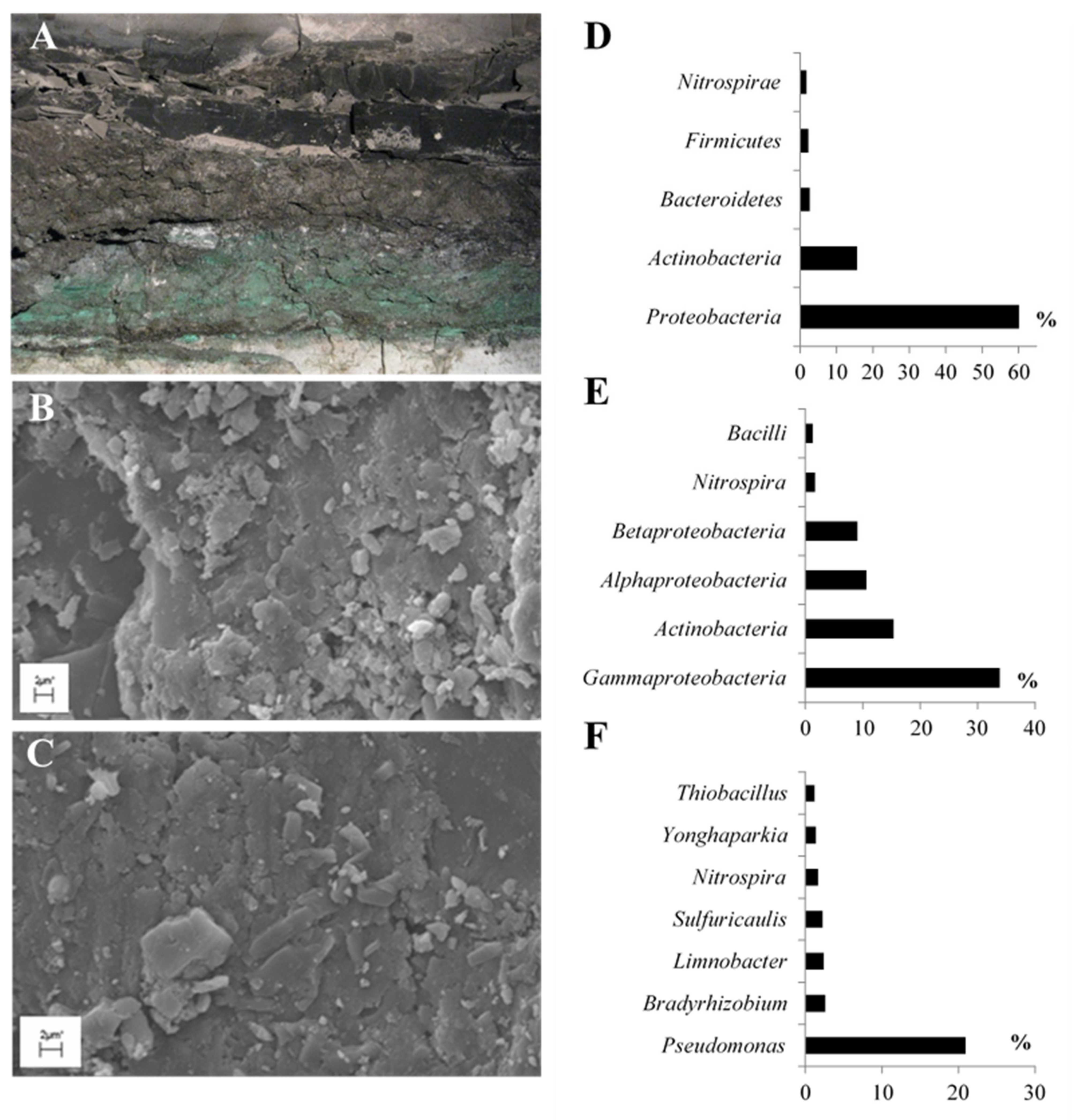 Molecules 26 06746 g002 Molecules 26 06746 g002