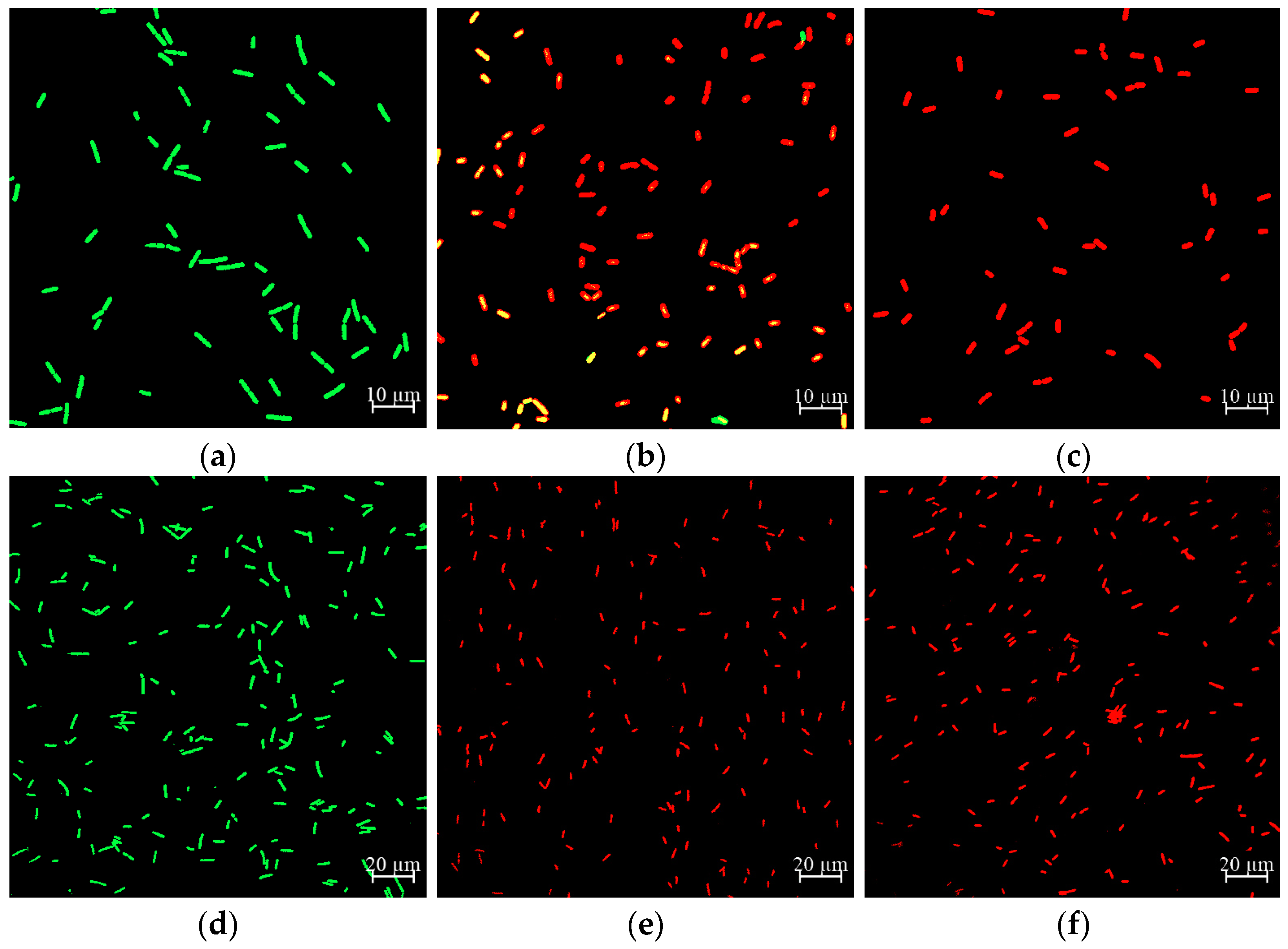 Molecules 26 06748 g005 550