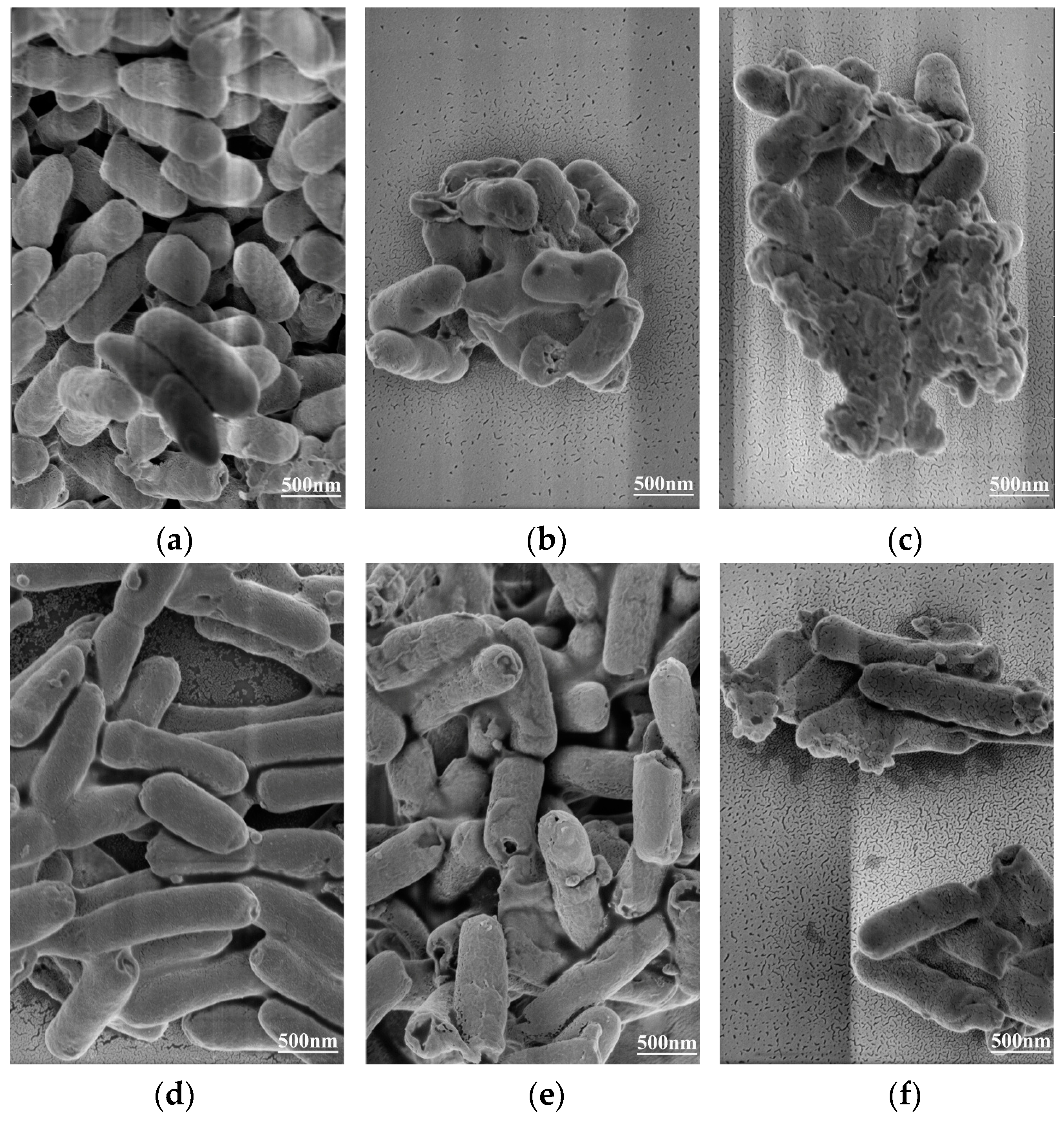 Molecules 26 06748 g006 550
