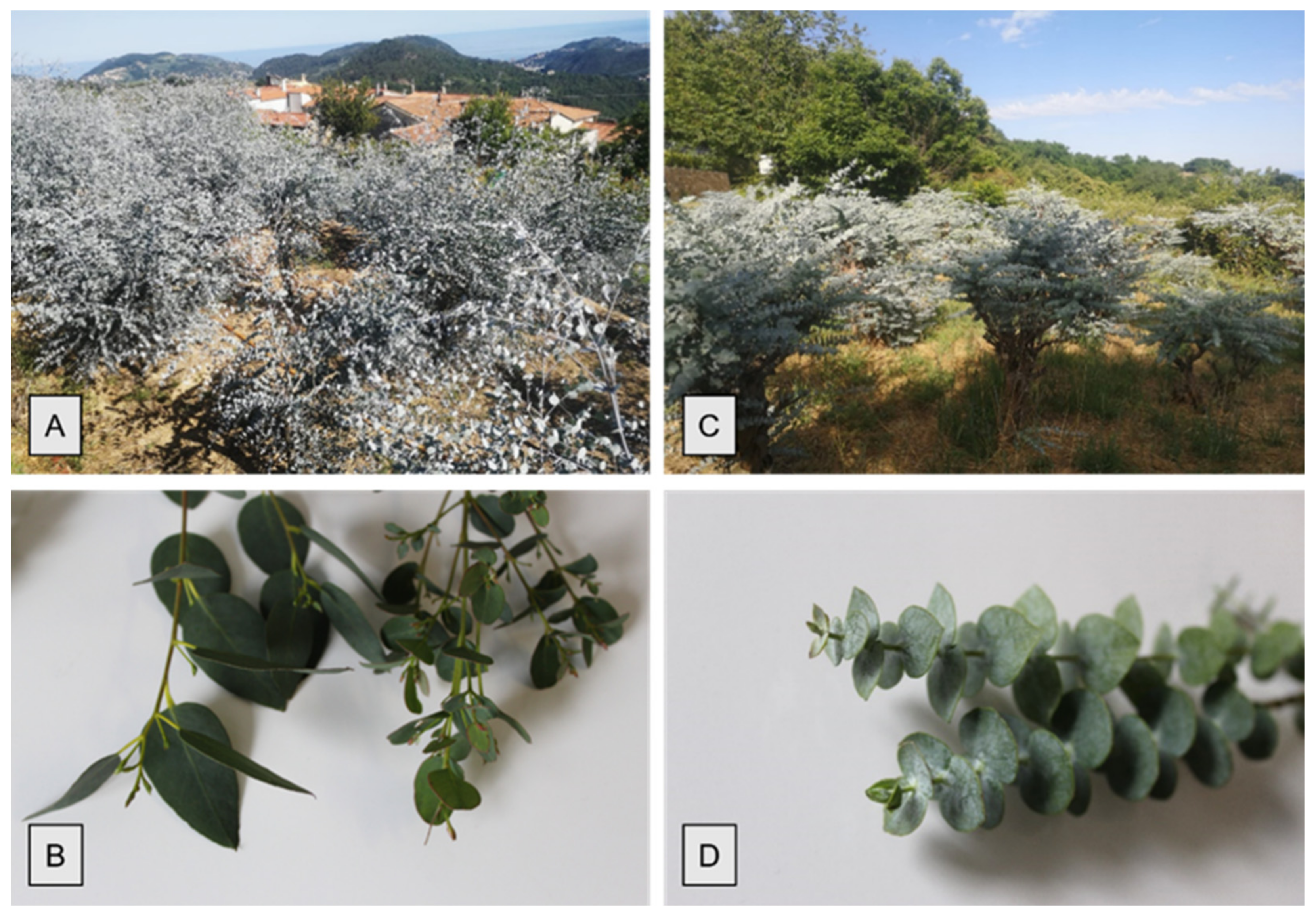 Molecules 26 06749 g001 Molecules 26 06749 g001