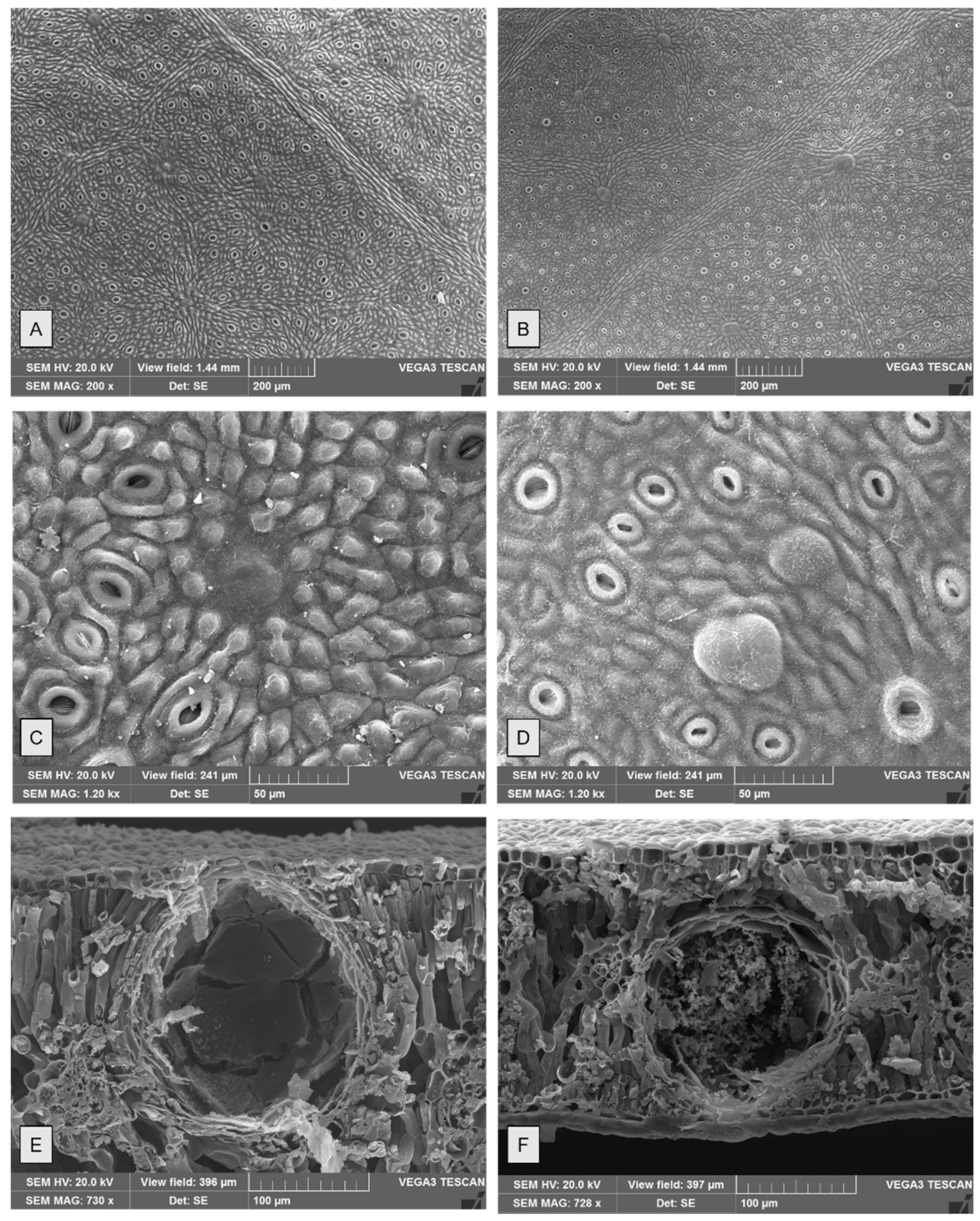 Molecules 26 06749 g004 Molecules 26 06749 g004