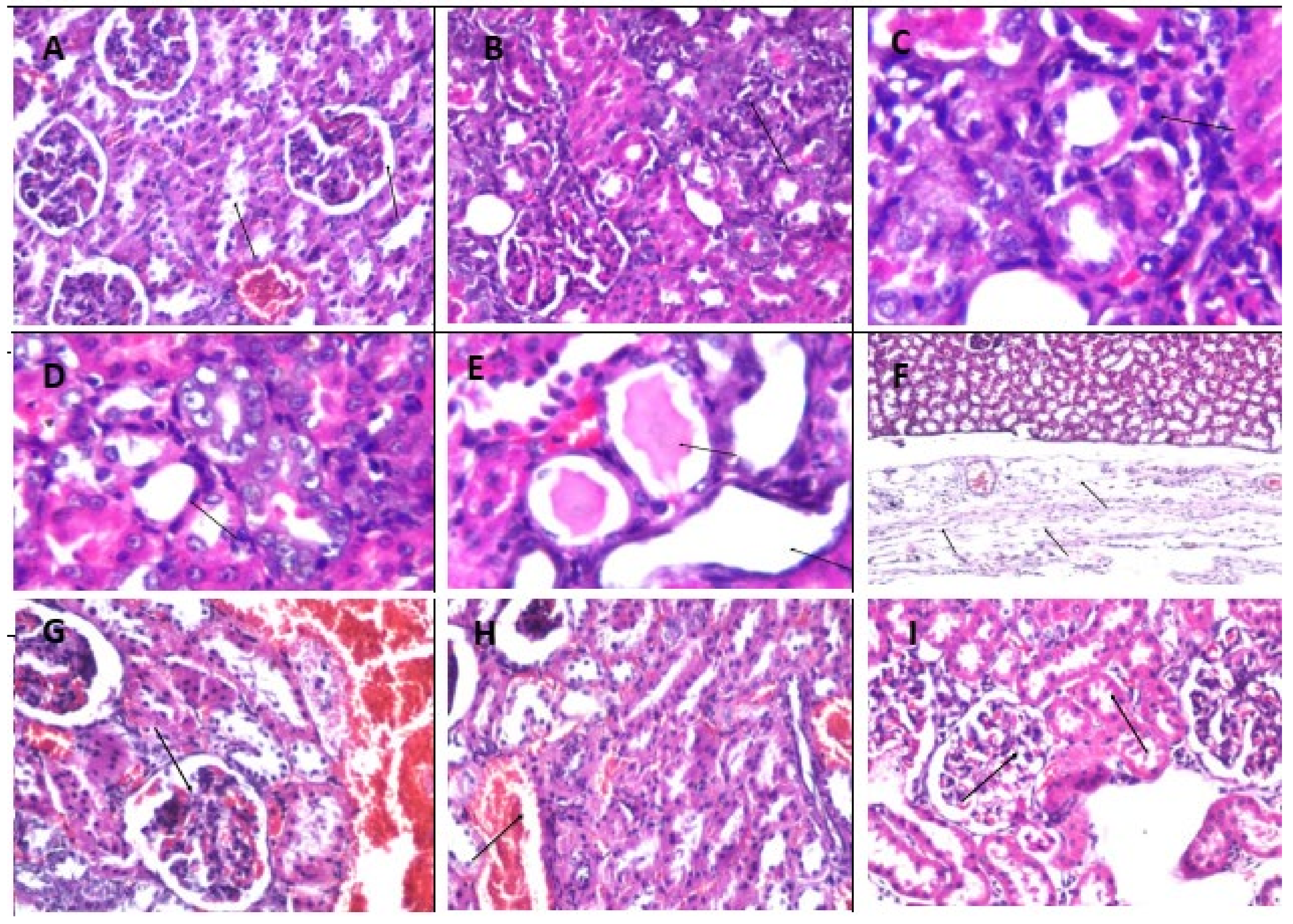 Molecules 26 06752 g003