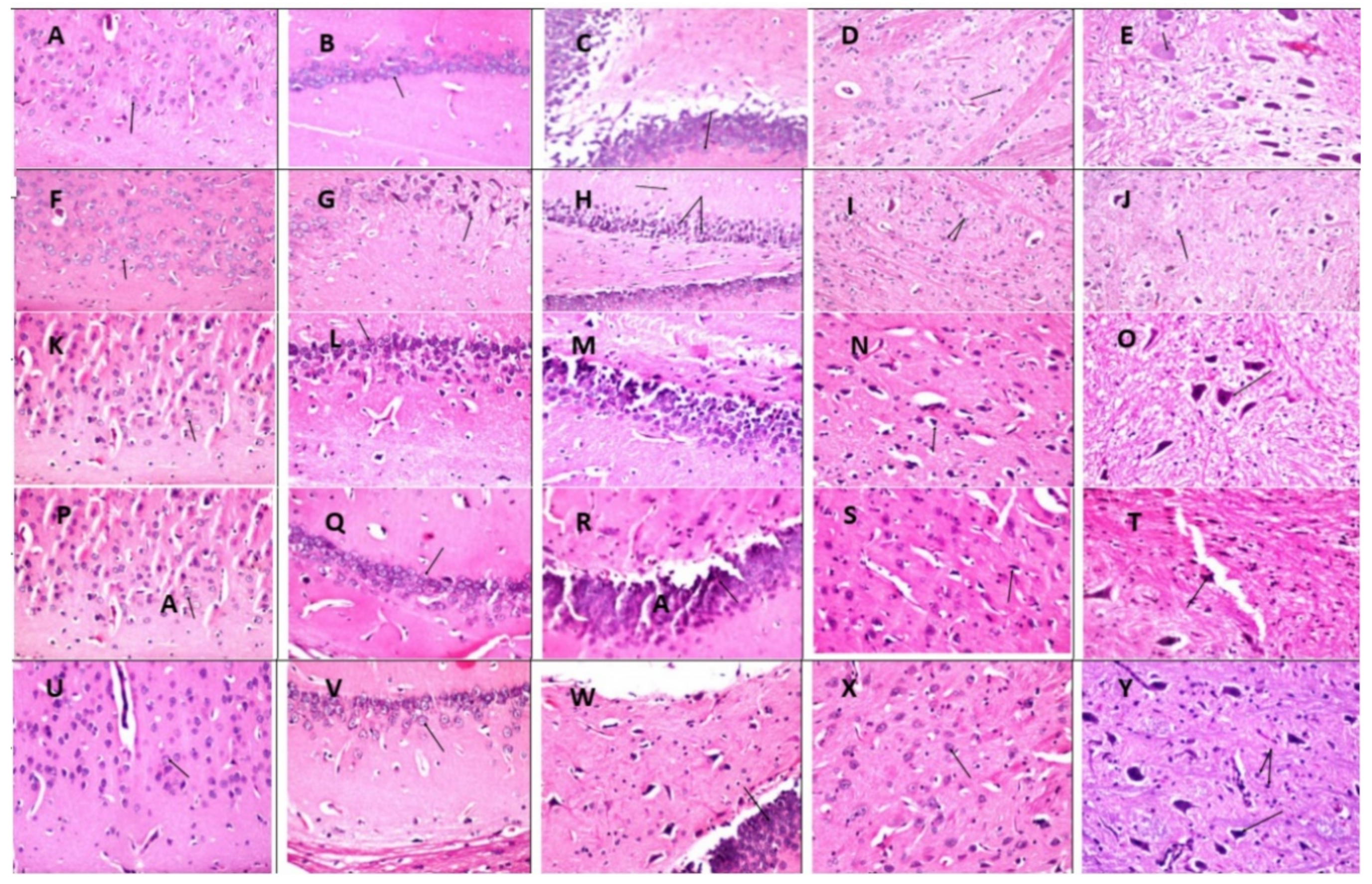 Molecules 26 06752 g004