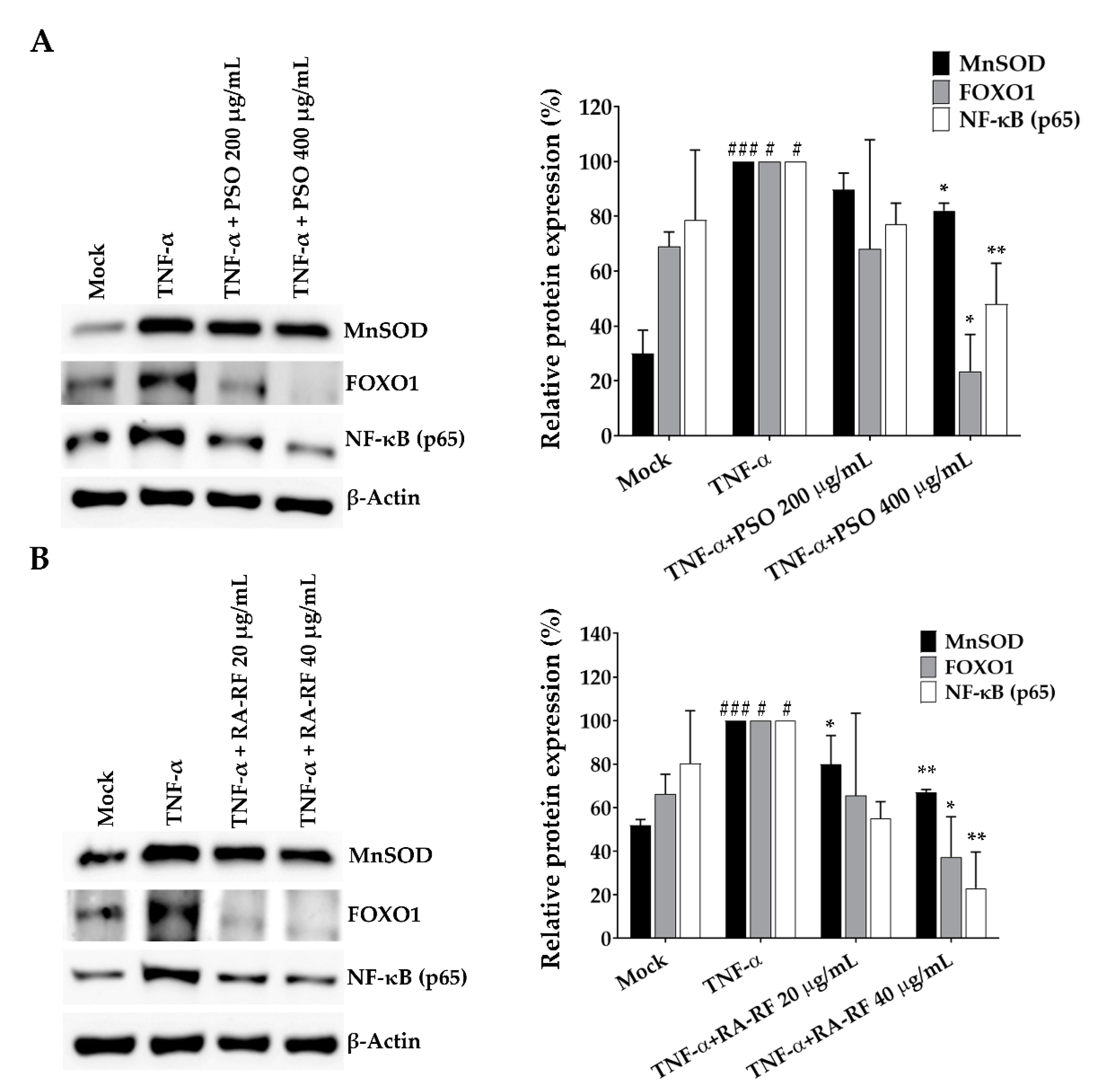 Molecules 26 06757 g008 Molecules 26 06757 g008