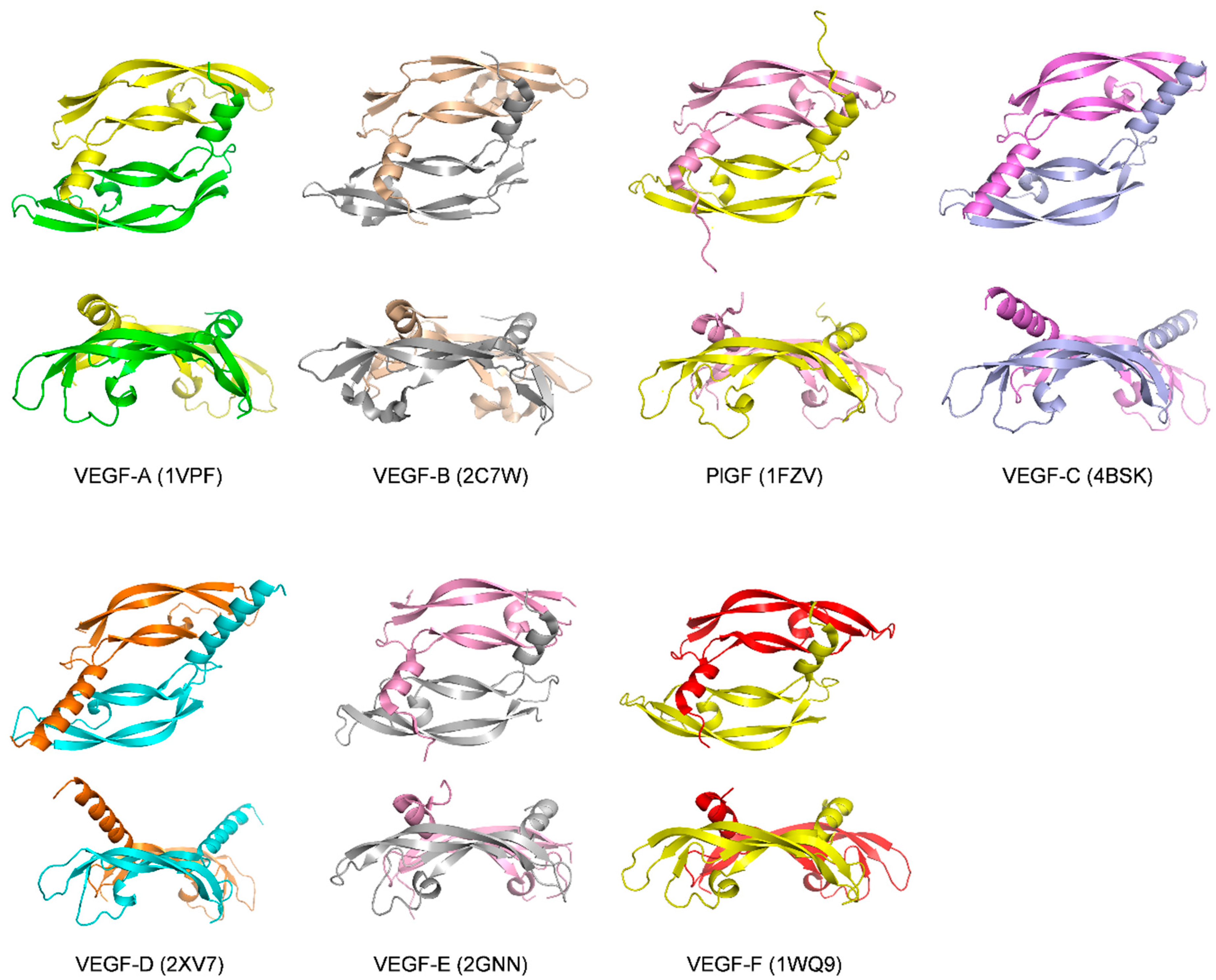 Molecules 26 06759 g001
