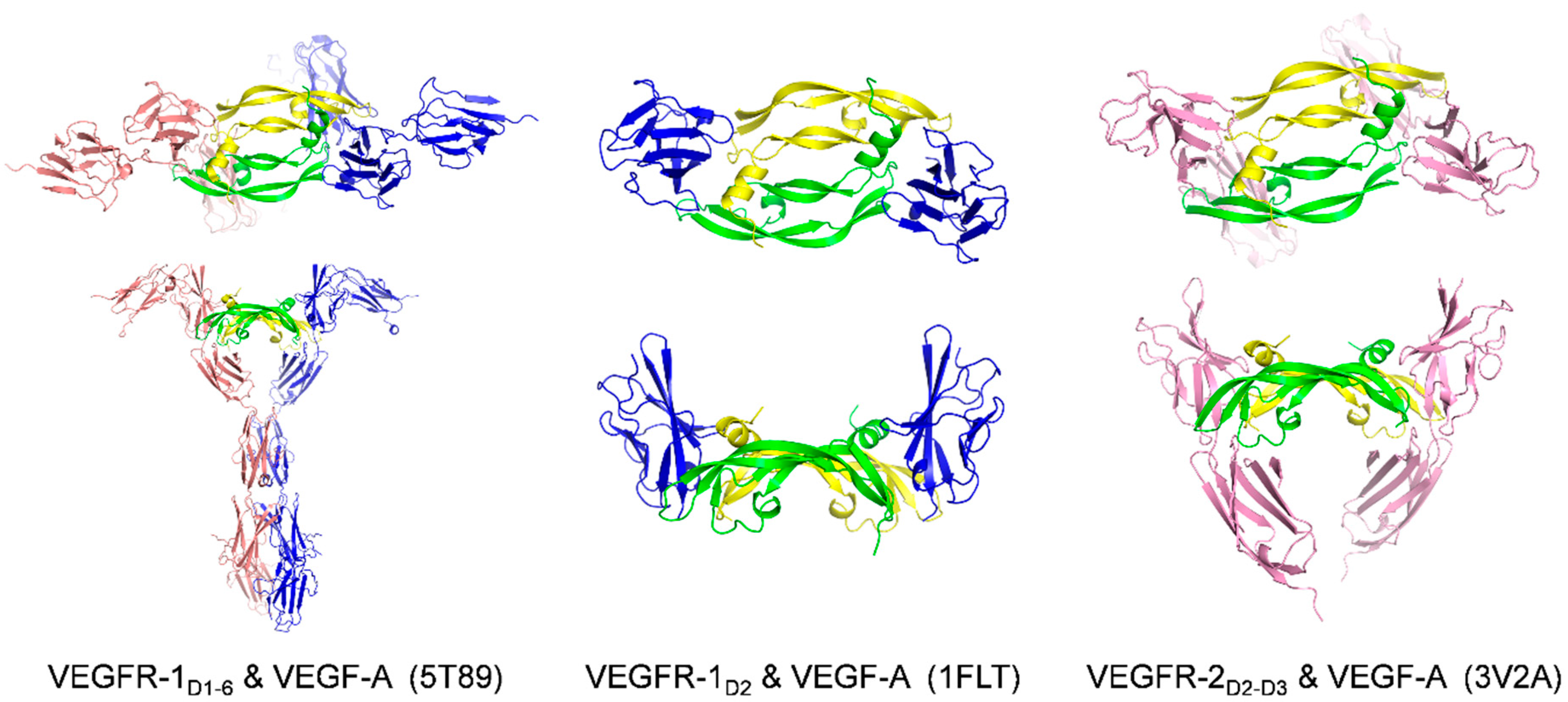 Molecules 26 06759 g005