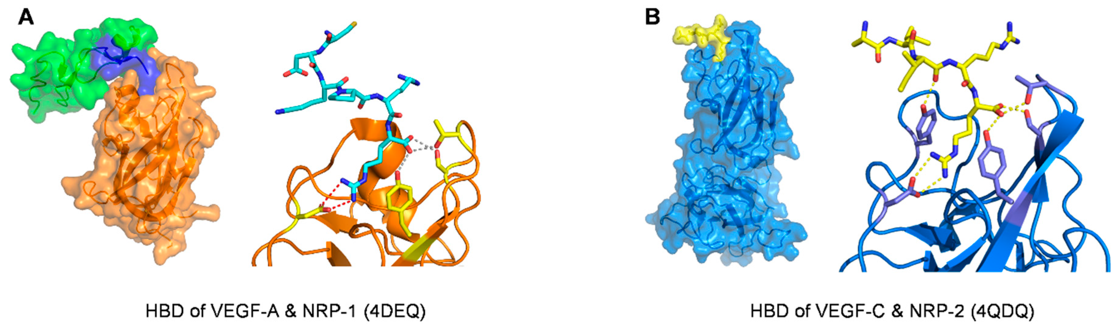 Molecules 26 06759 g006
