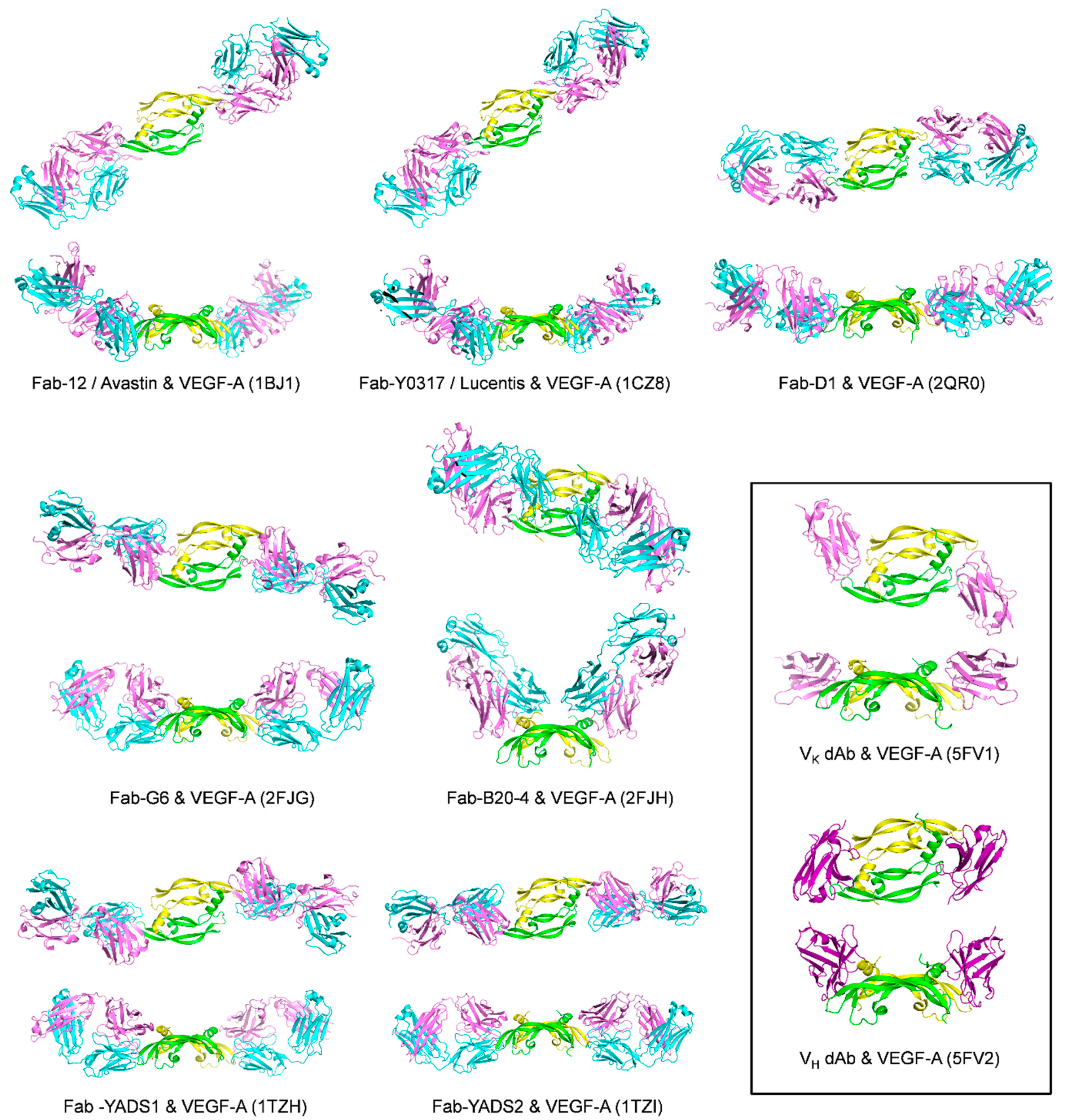 Molecules 26 06759 g007