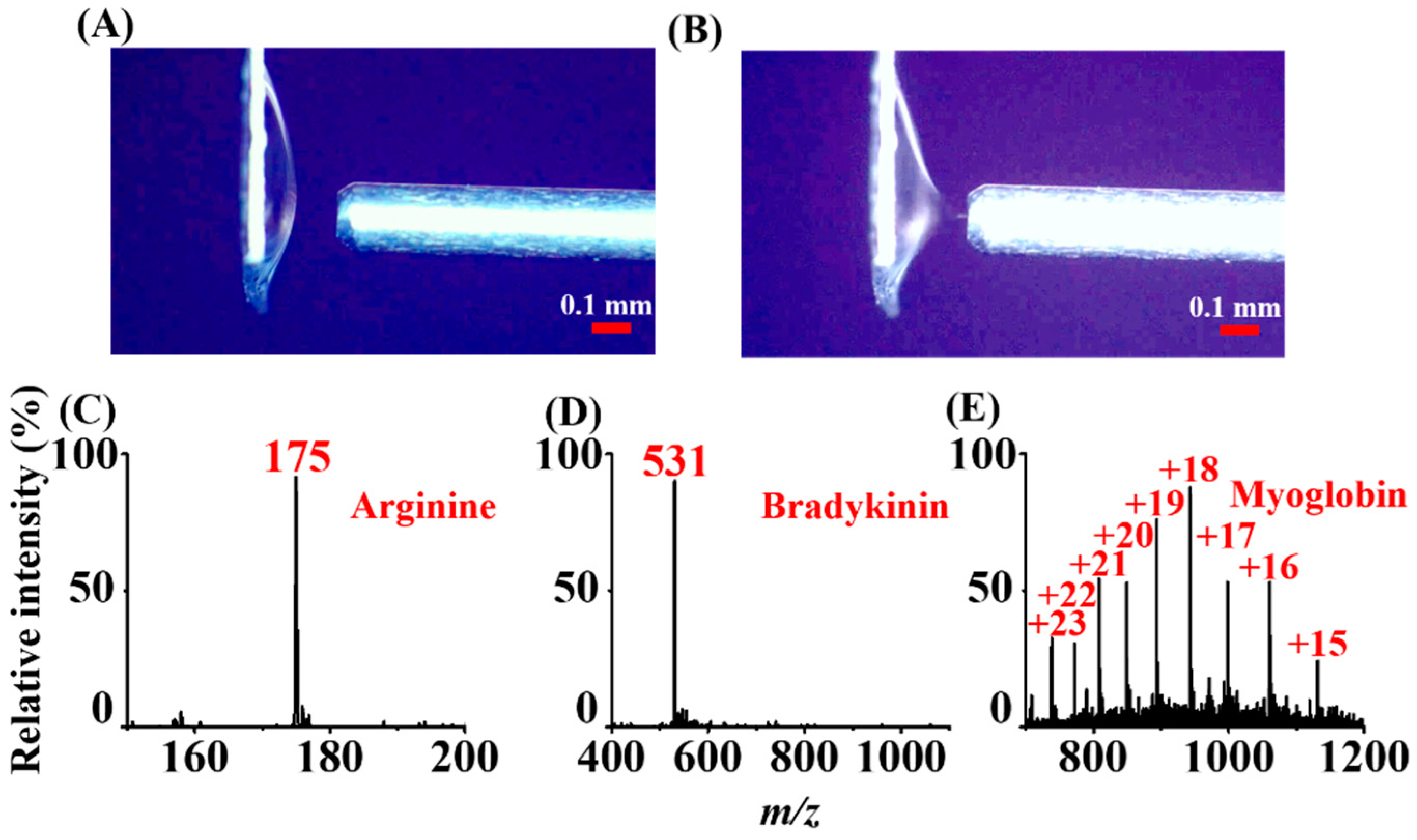 Molecules 26 06760 g006 Molecules 26 06760 g006