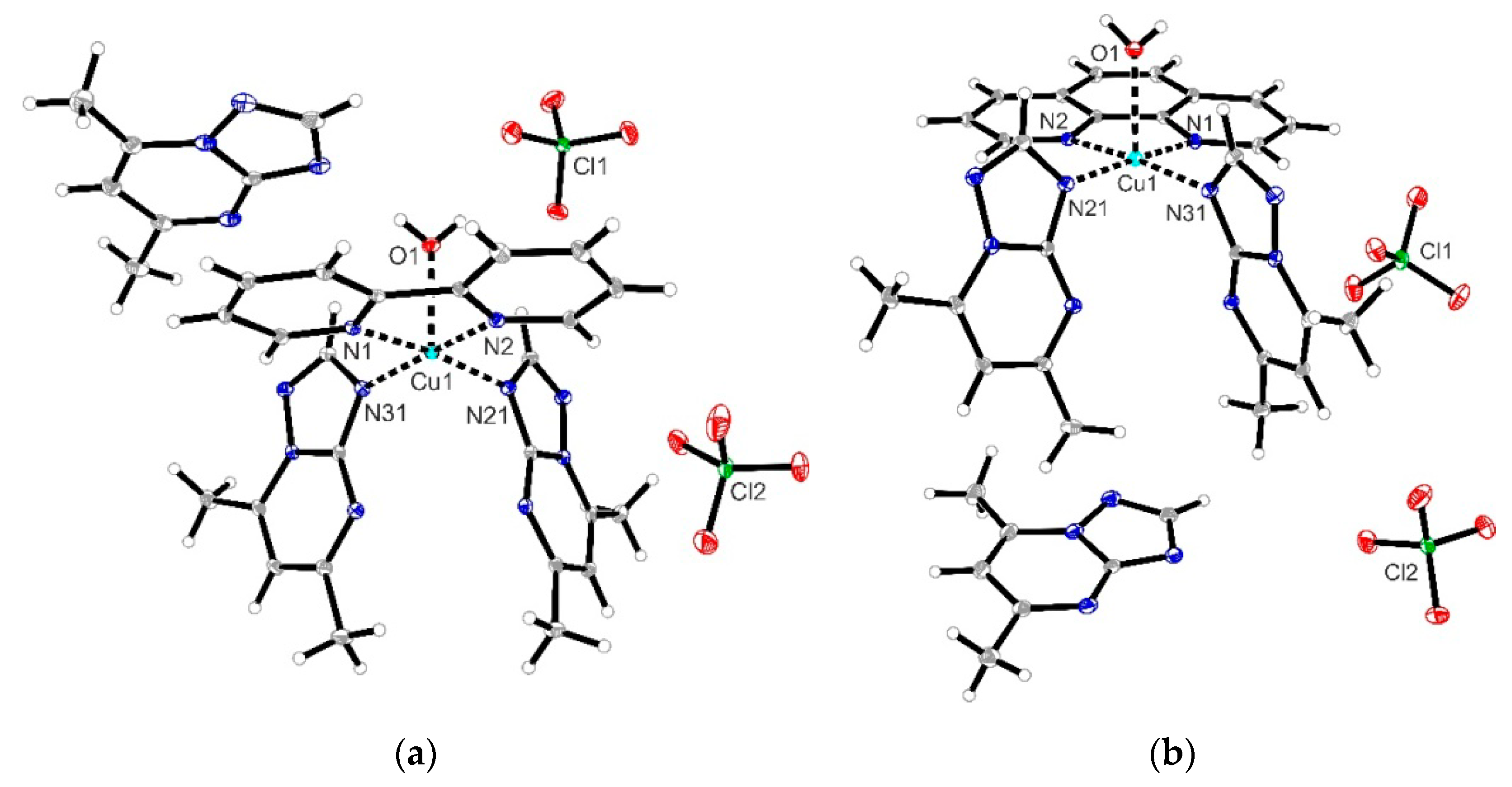 Molecules 26 06772 g001