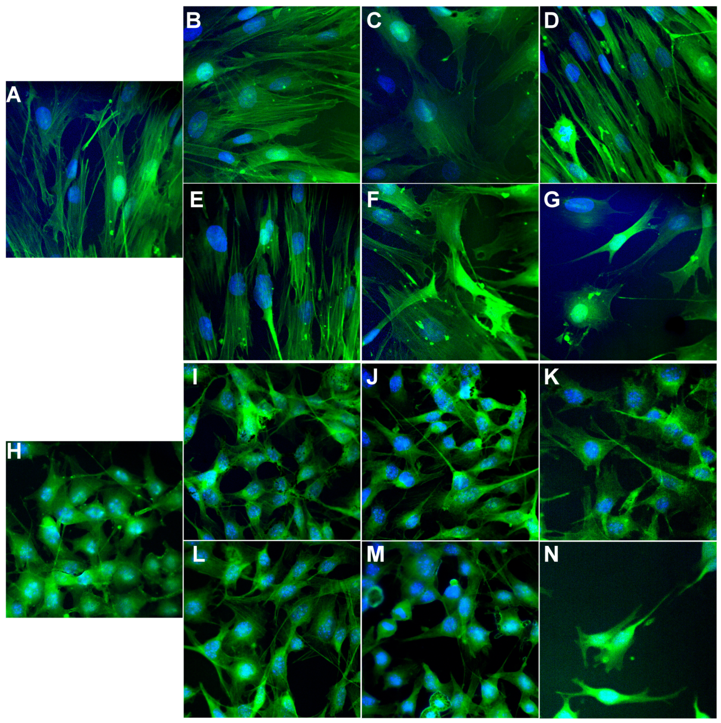Molecules 26 06772 g007