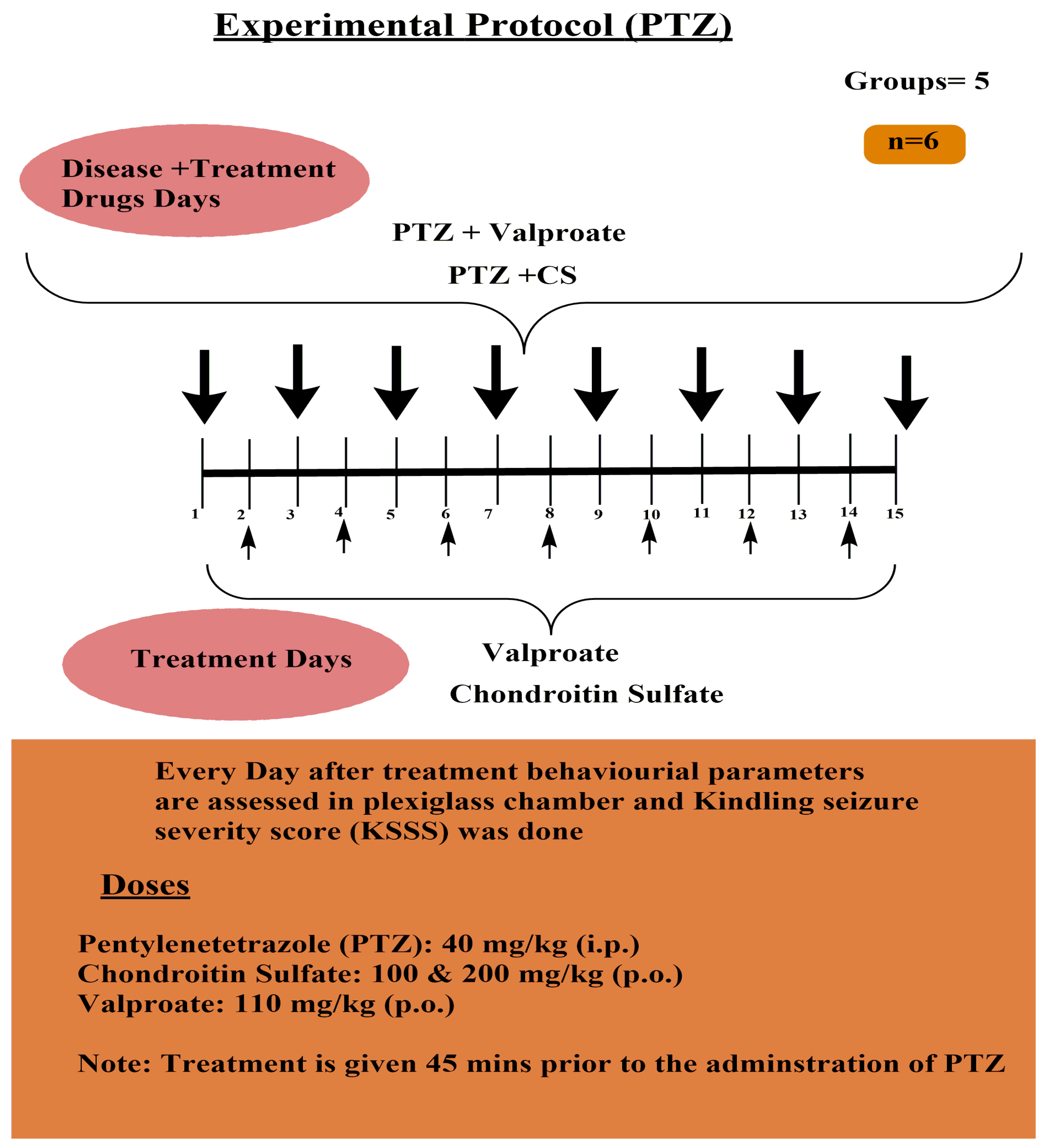 Molecules 26 06773 g001