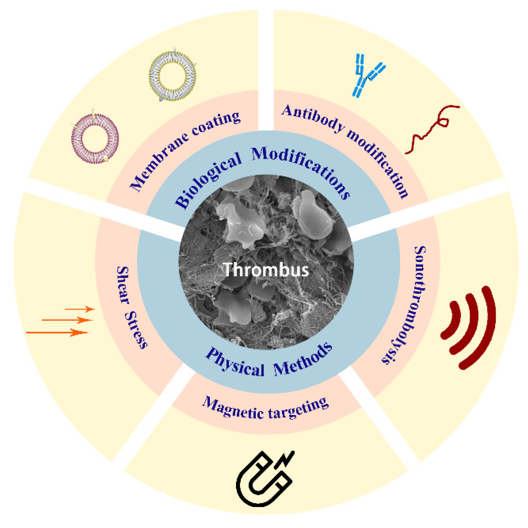 Molecules 26 06776 g001 Molecules 26 06776 g001