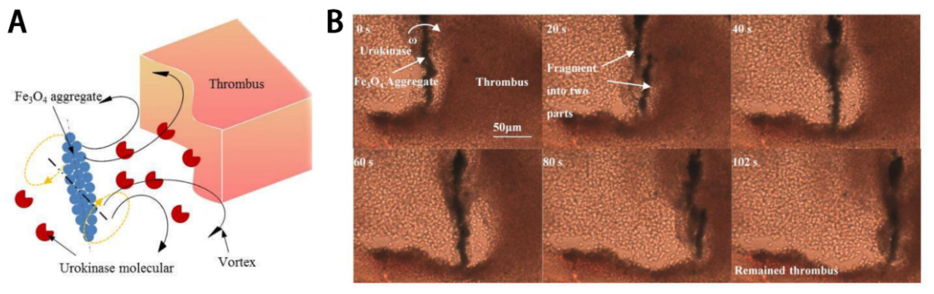 Molecules 26 06776 g003 Molecules 26 06776 g003