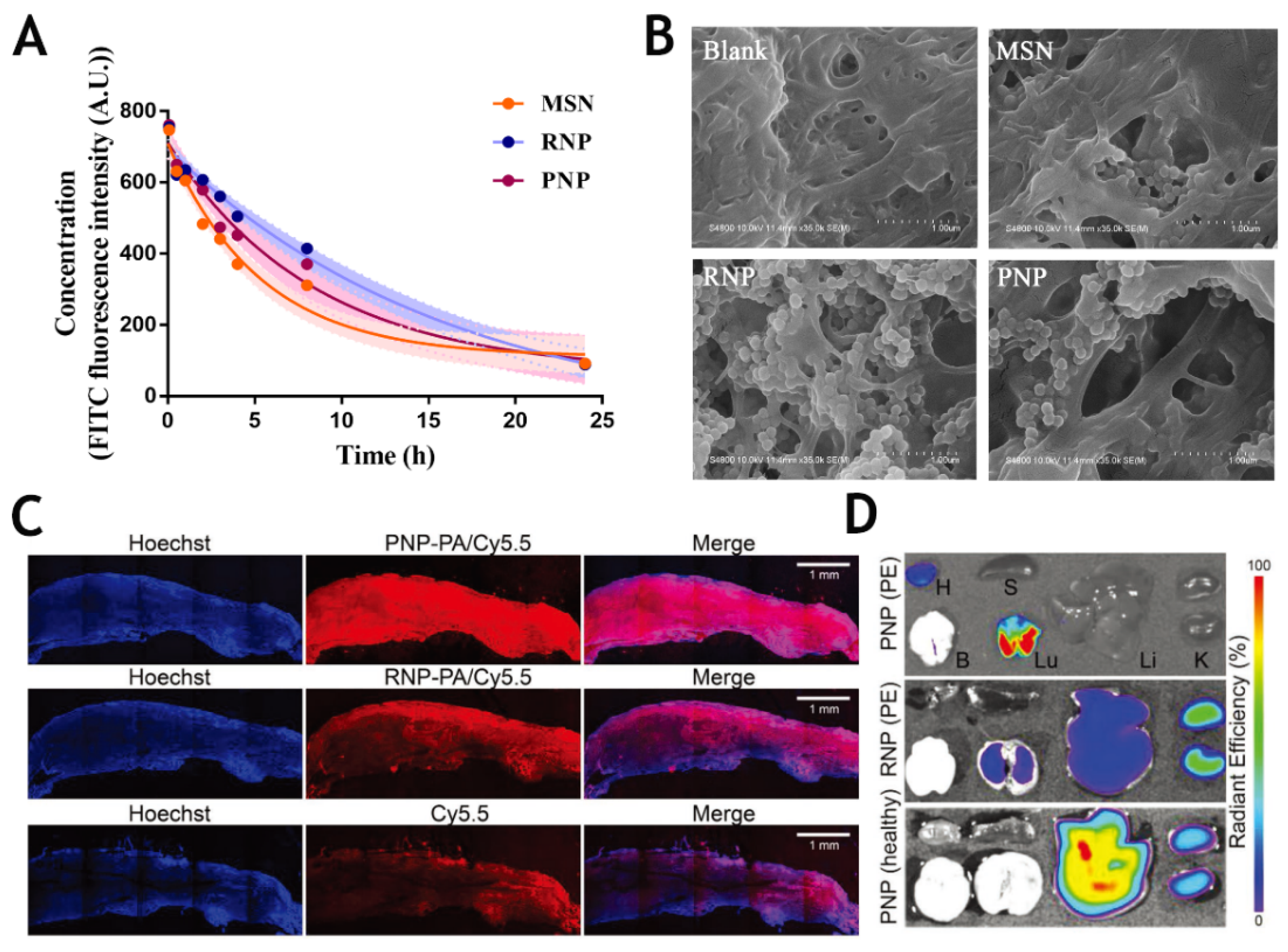 Molecules 26 06776 g005 Molecules 26 06776 g005