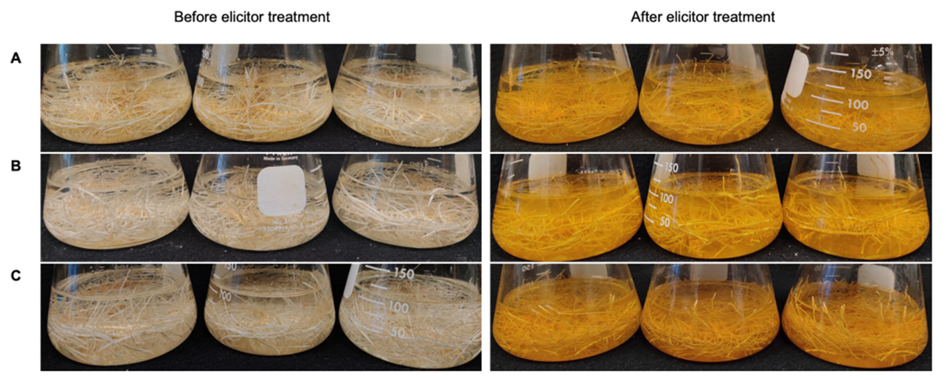 Molecules 26 06778 g003 550