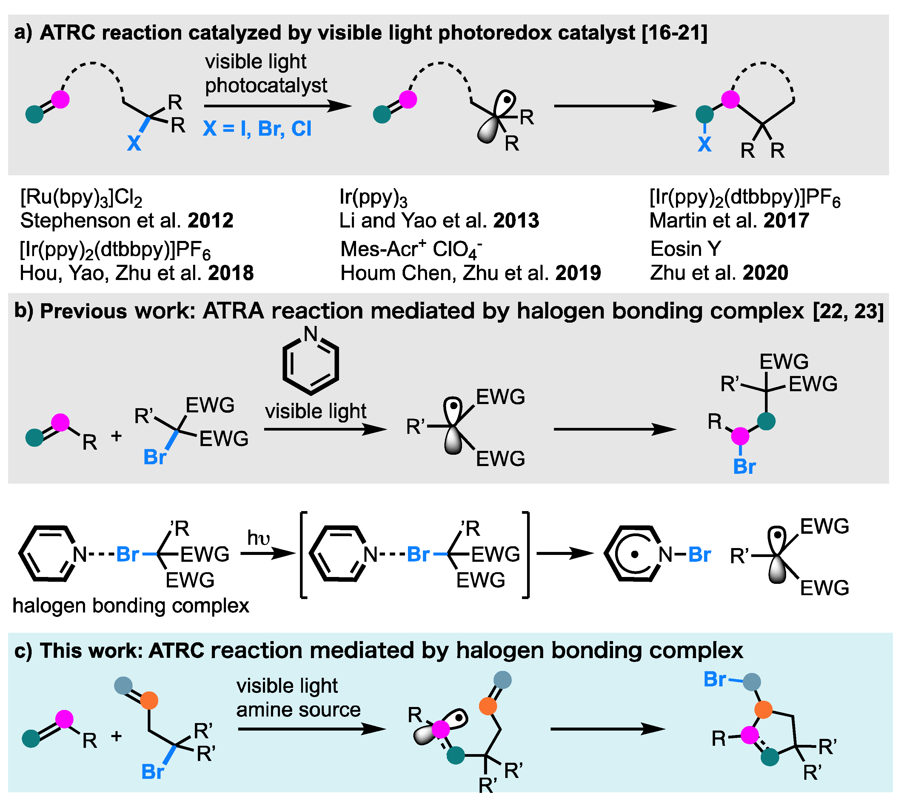 Molecules 26 06781 g001