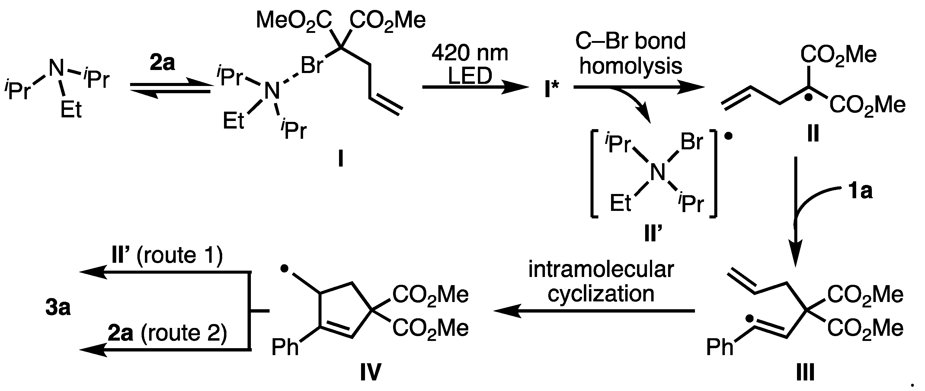 Molecules 26 06781 g006