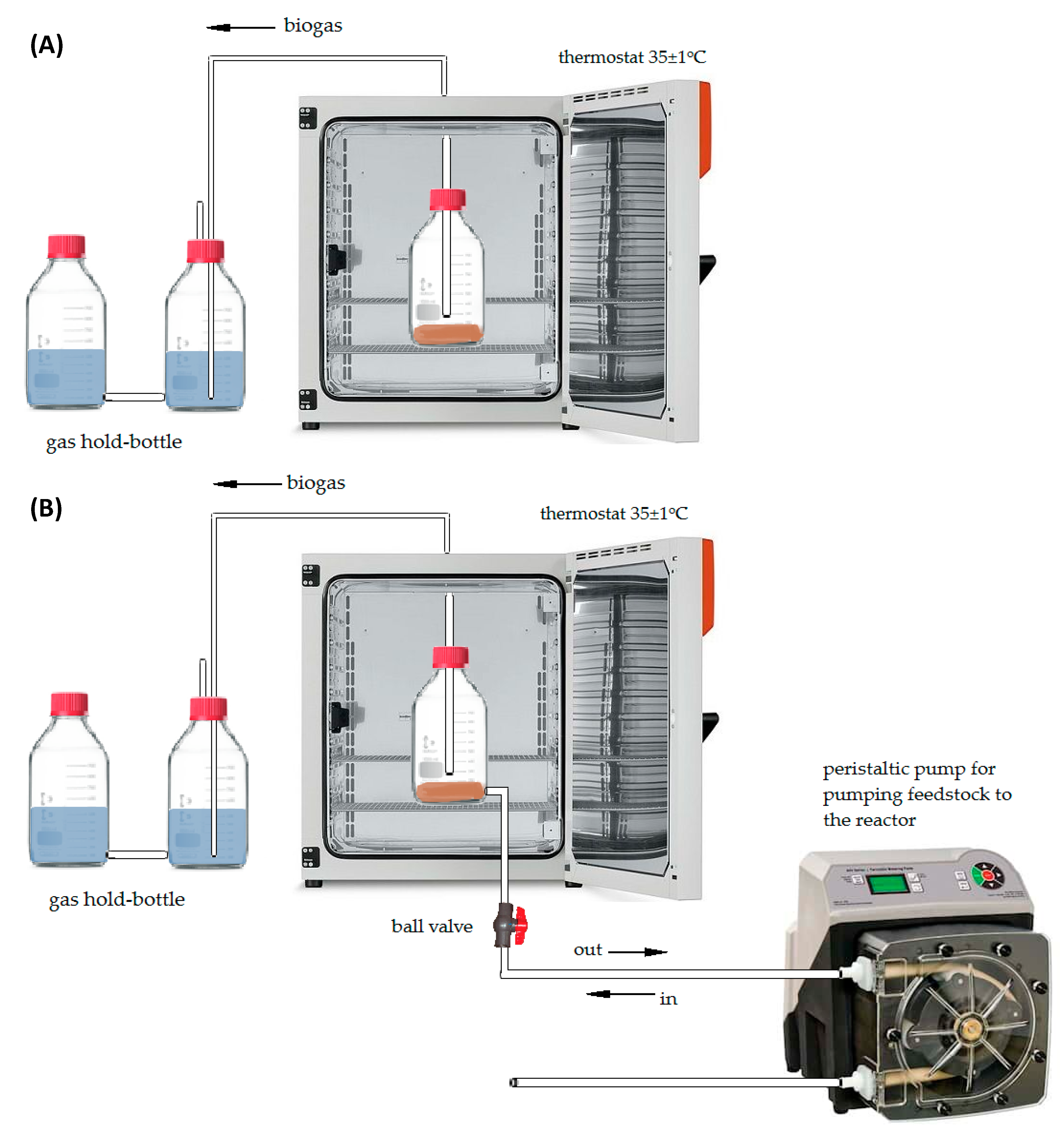 Molecules 26 06782 g008 550
