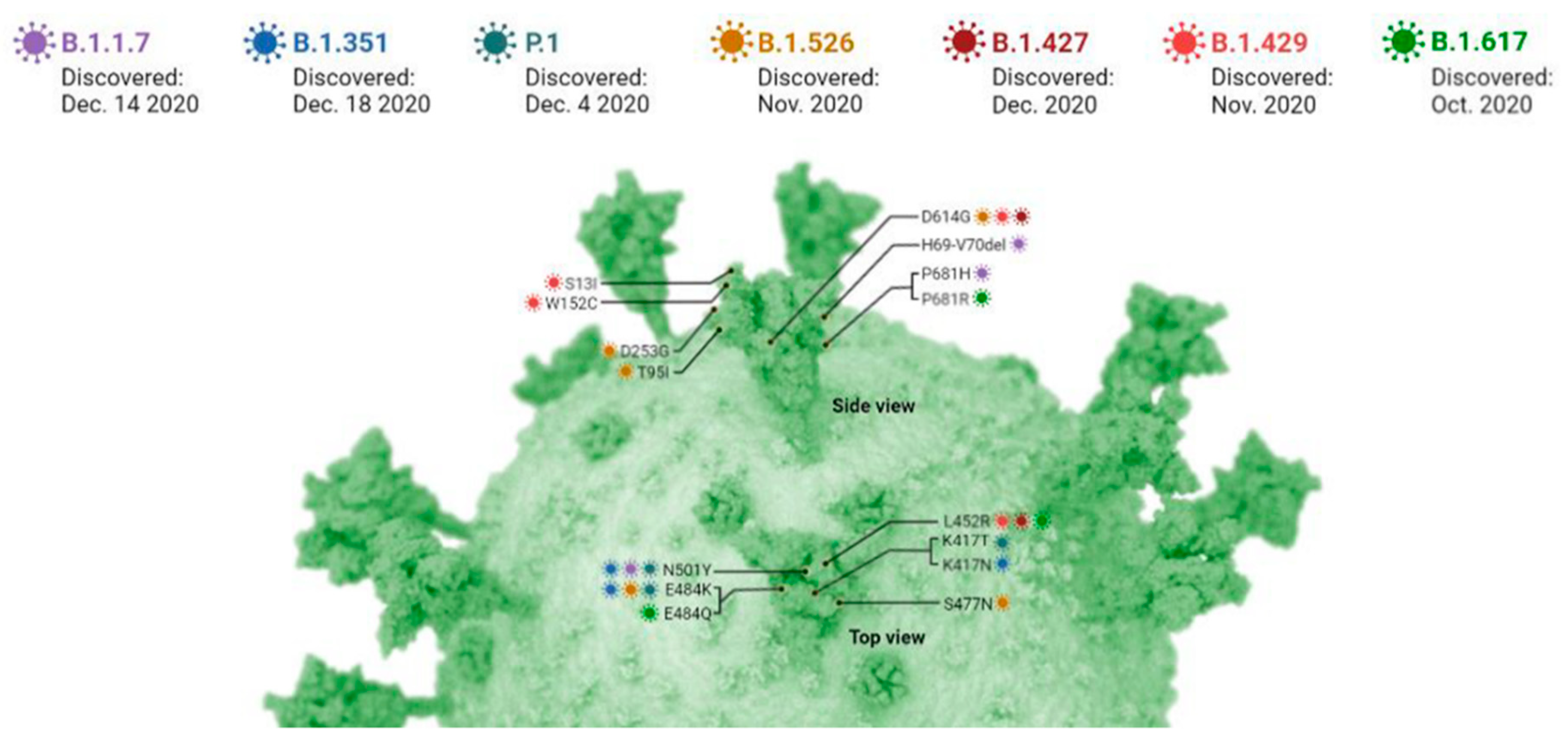 Molecules 26 06783 g001 Molecules 26 06783 g001