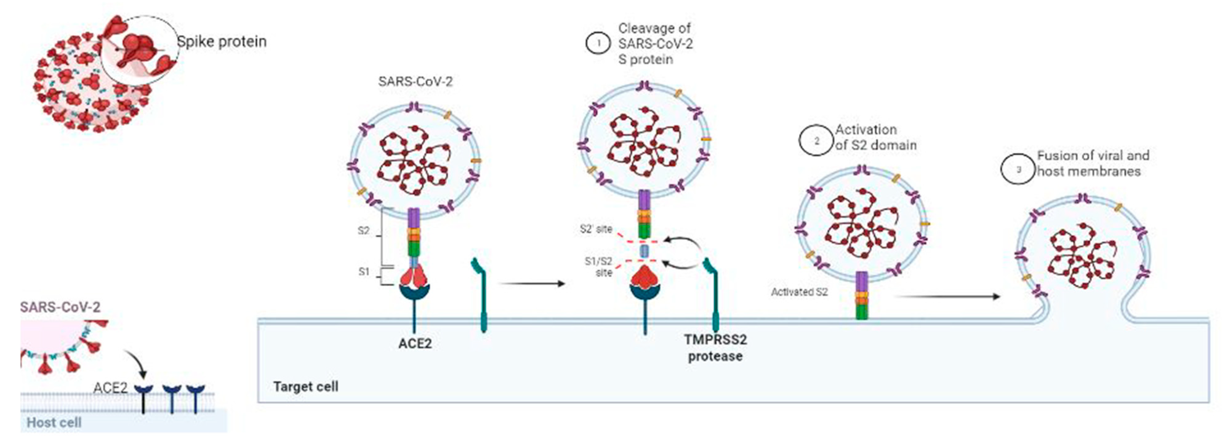 Molecules 26 06783 g002 Molecules 26 06783 g002