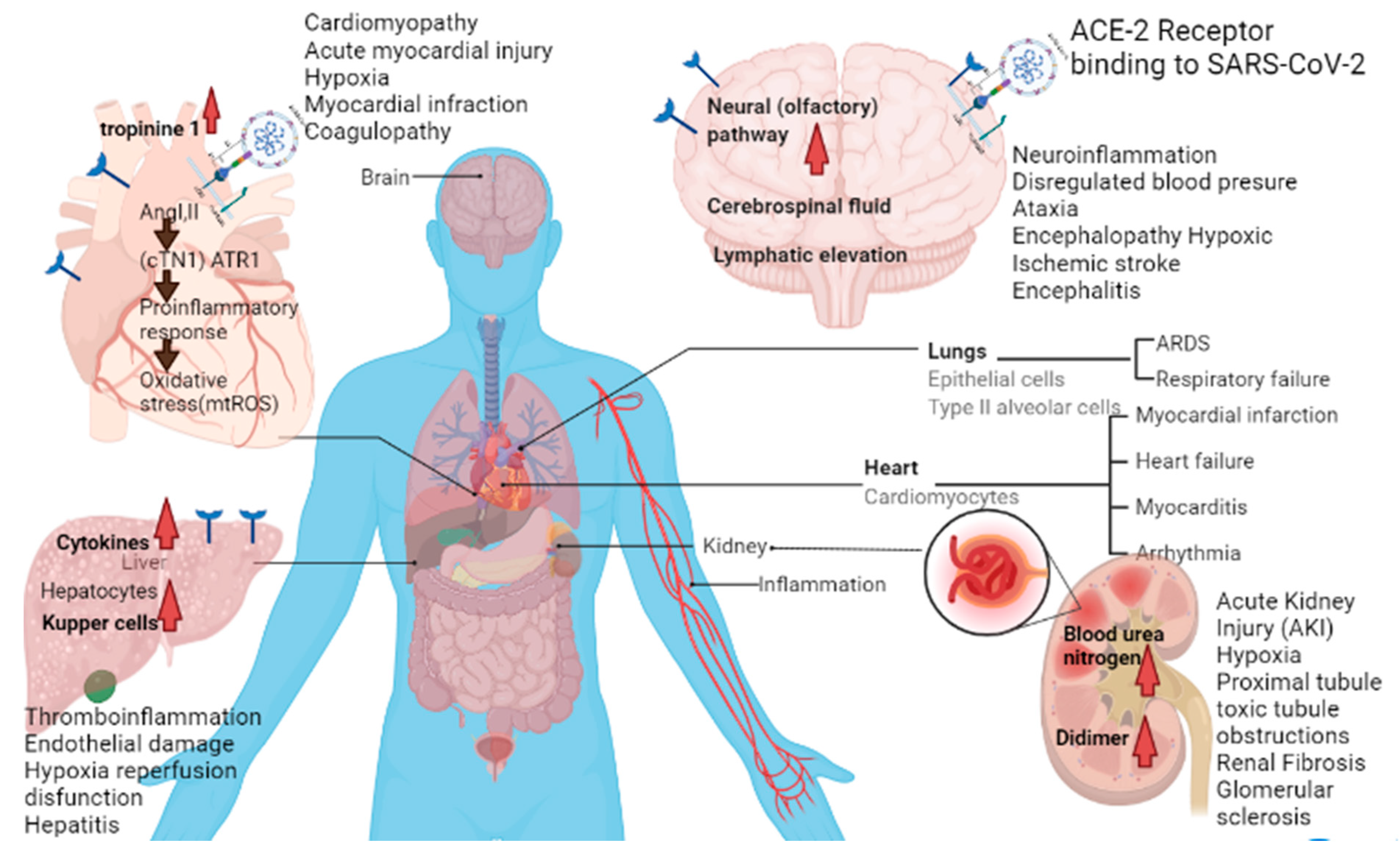 Molecules 26 06783 g003 Molecules 26 06783 g003