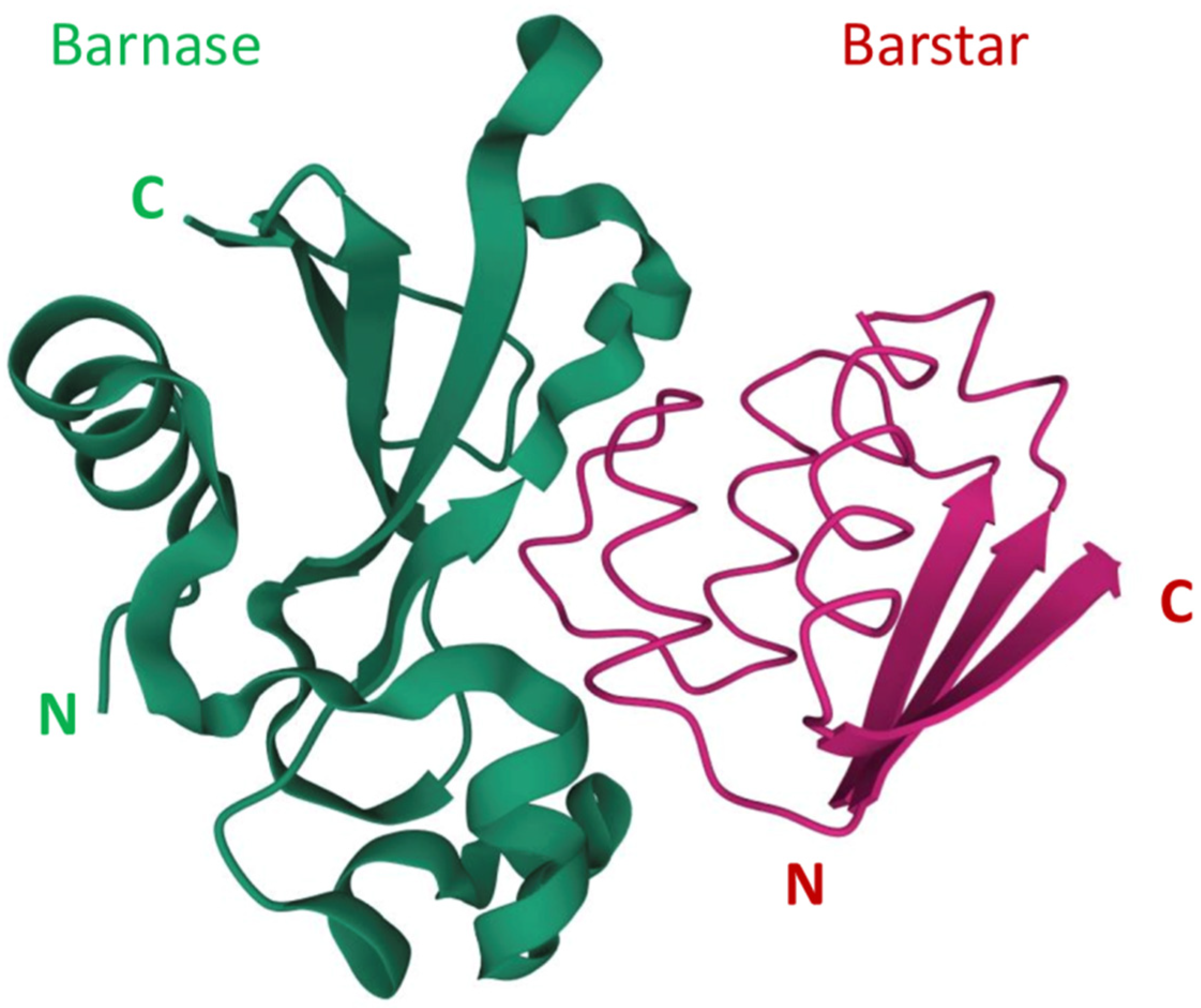 Molecules 26 06785 g001