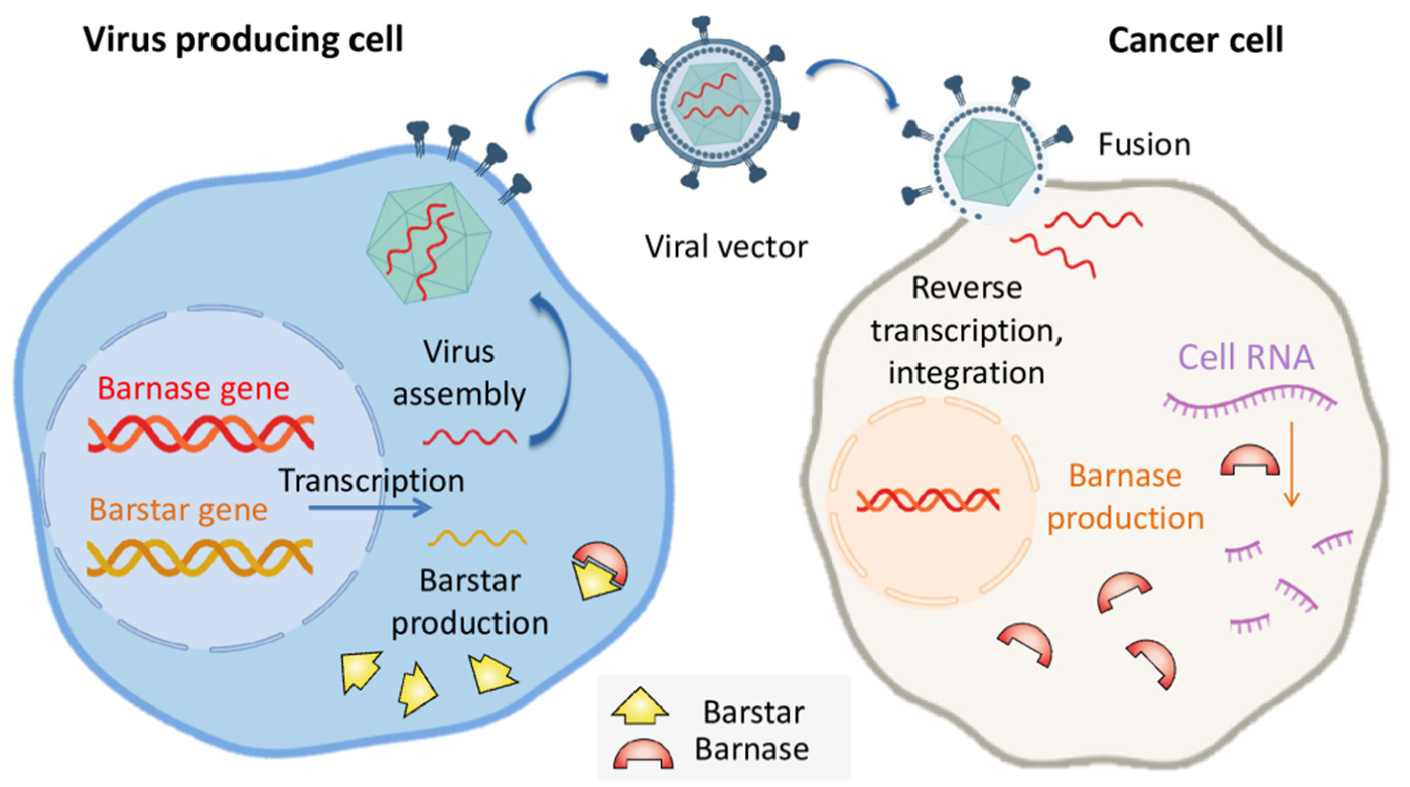 Molecules 26 06785 g002