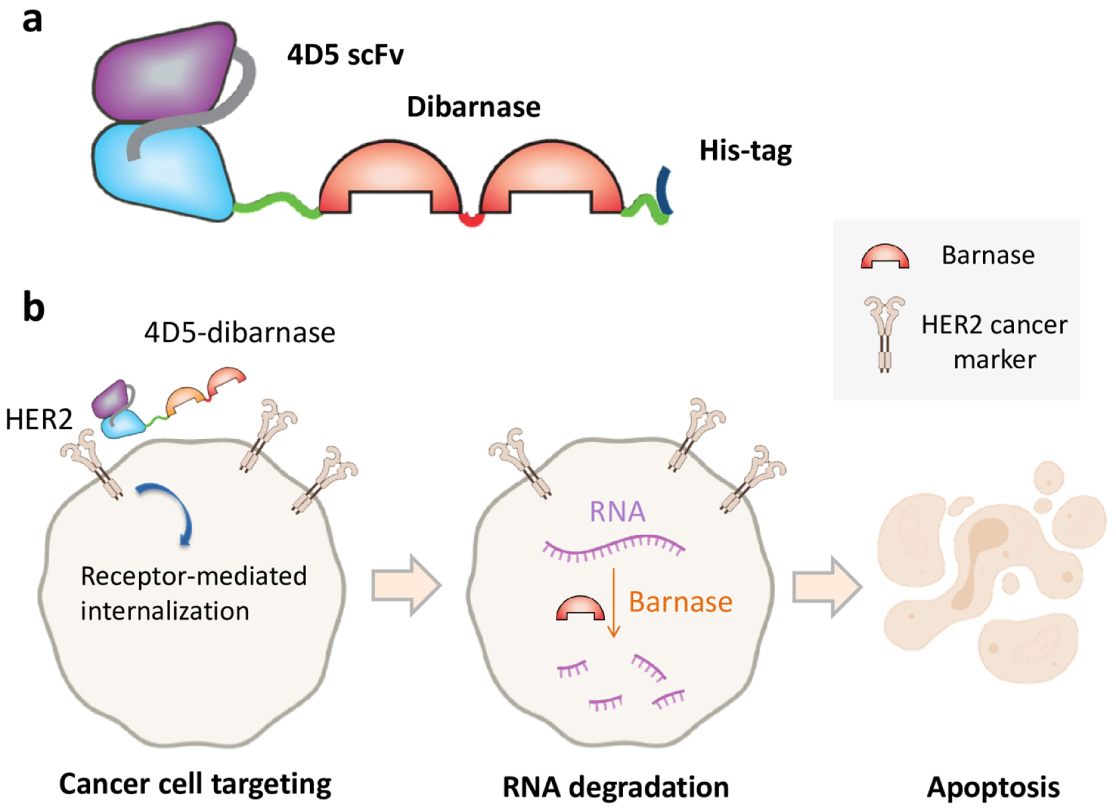 Molecules 26 06785 g003