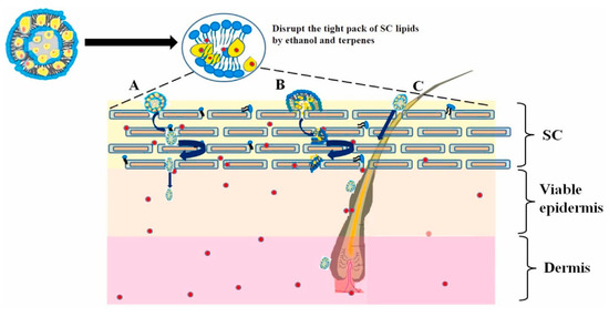 Self-Assembling Drug Formulations with Tunable Permeability and