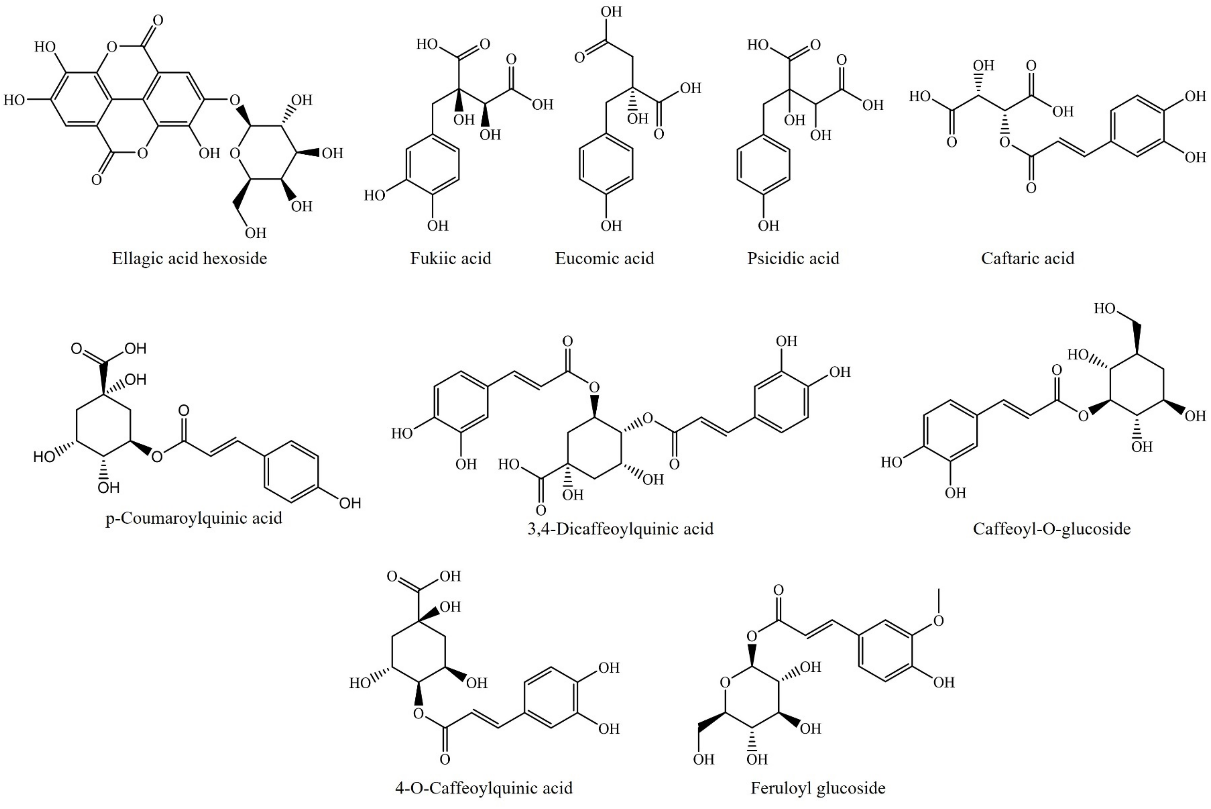 Molecules 26 06789 g002 Molecules 26 06789 g002