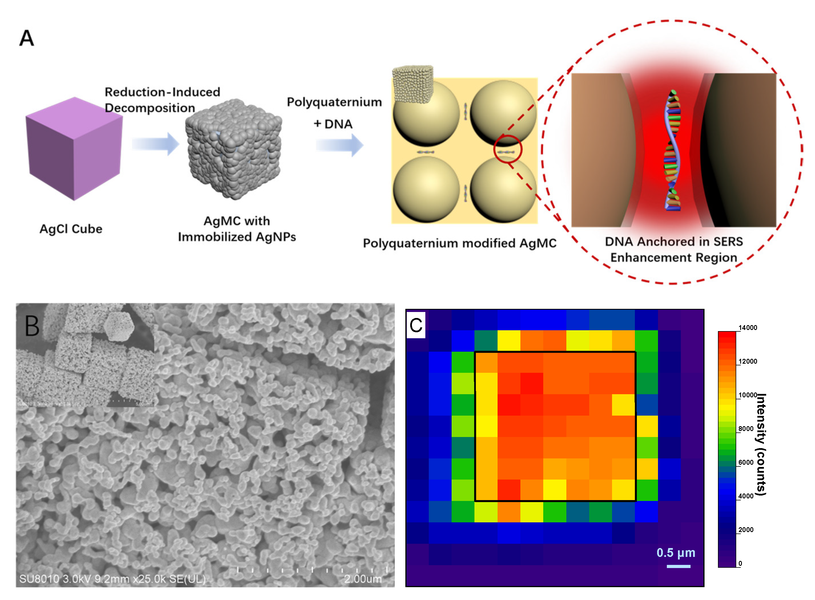 Molecules 26 06790 g001 550