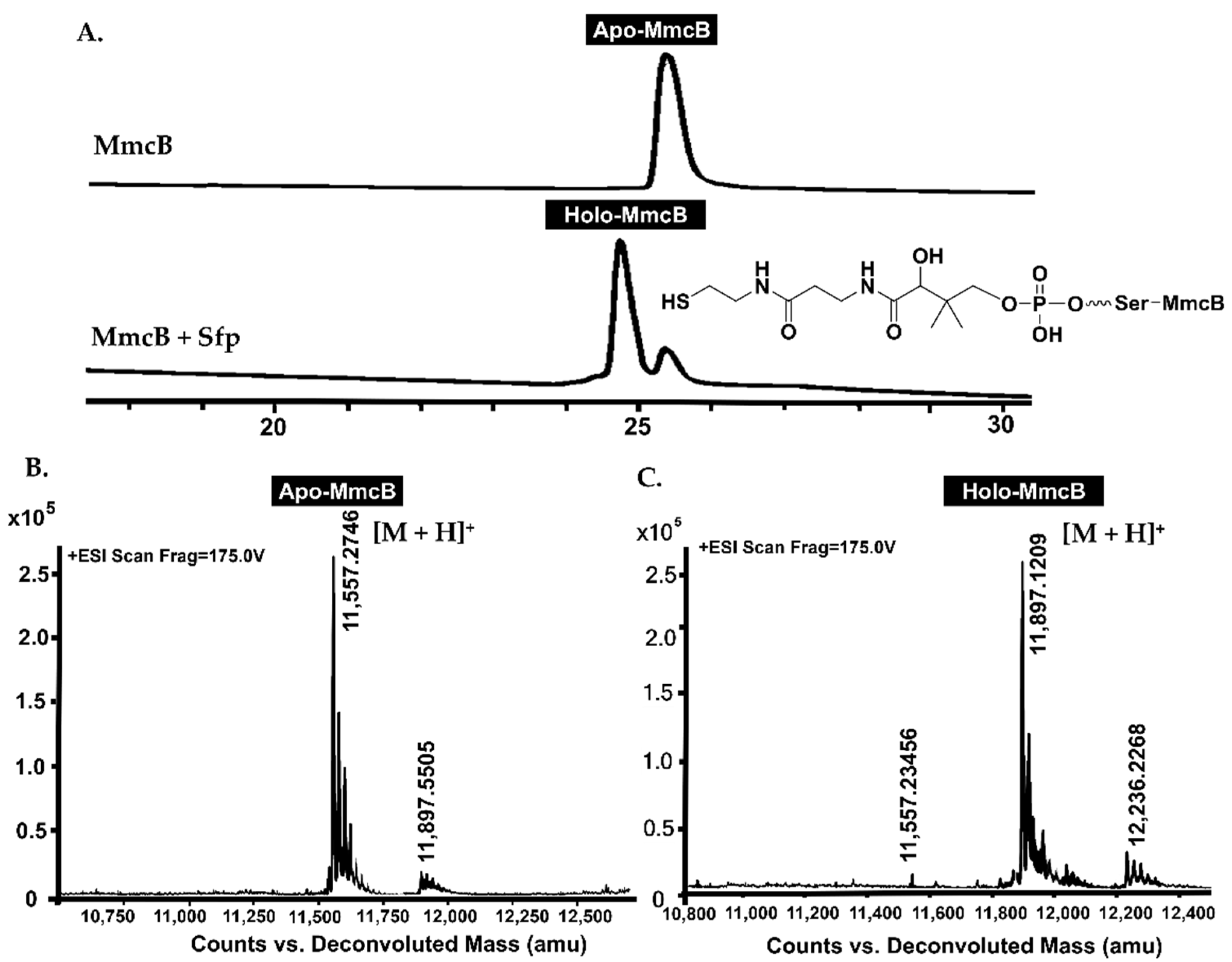 Molecules 26 06791 g004