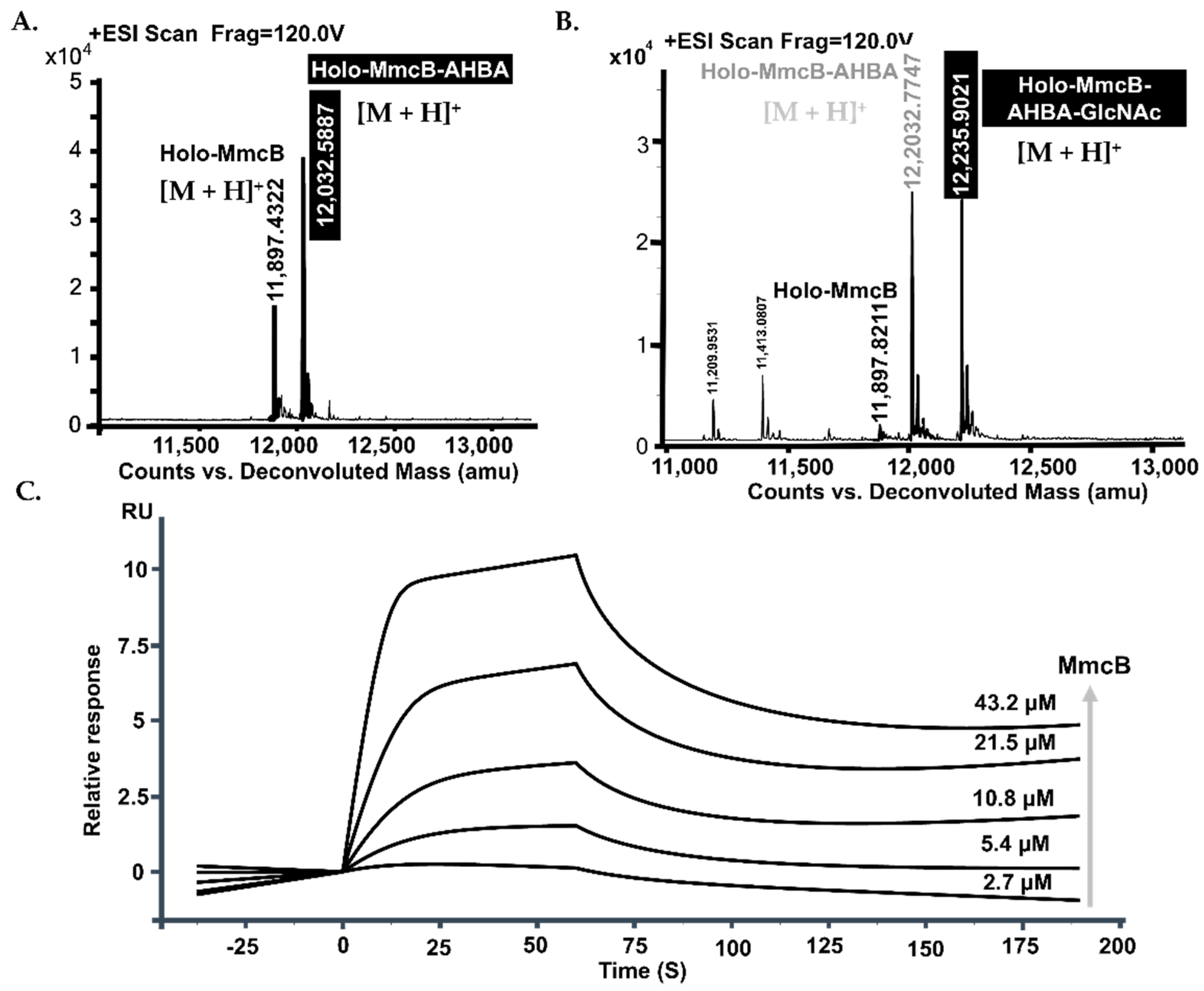 Molecules 26 06791 g005